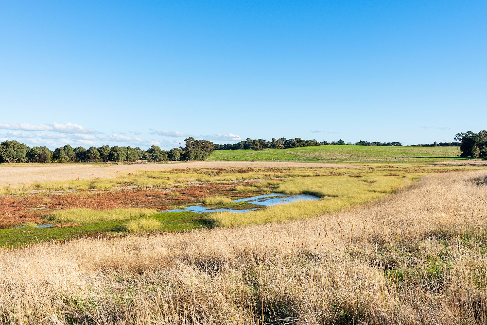 Real Estate For Sale Lot 2/ WillauraWickliffe Road Wickliffe , VIC