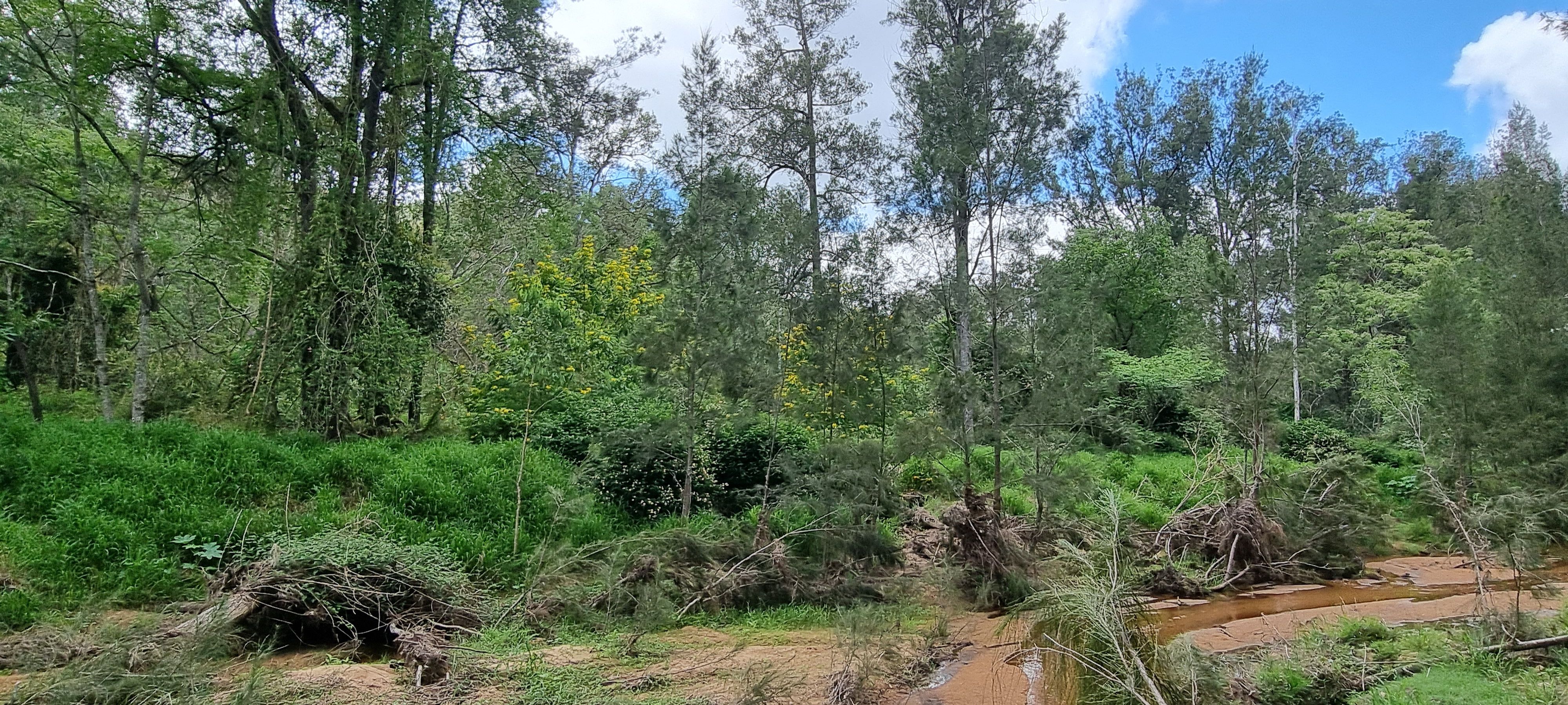 Real Estate For Sale 32/ Gaeta Road Gaeta , QLD