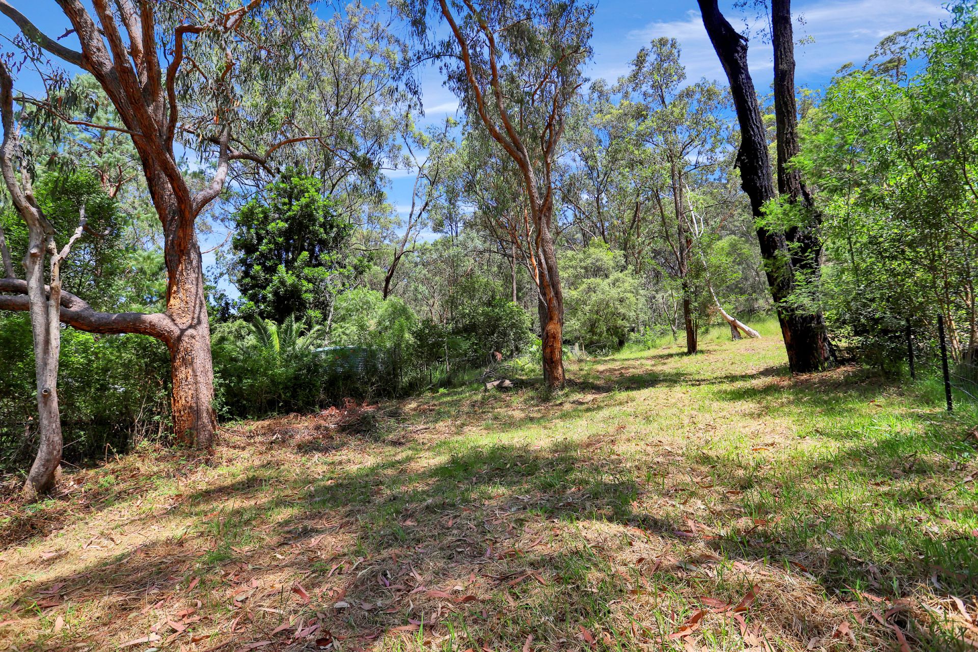 Real Estate For Sale 516 Settlers Road Lower Macdonald , NSW