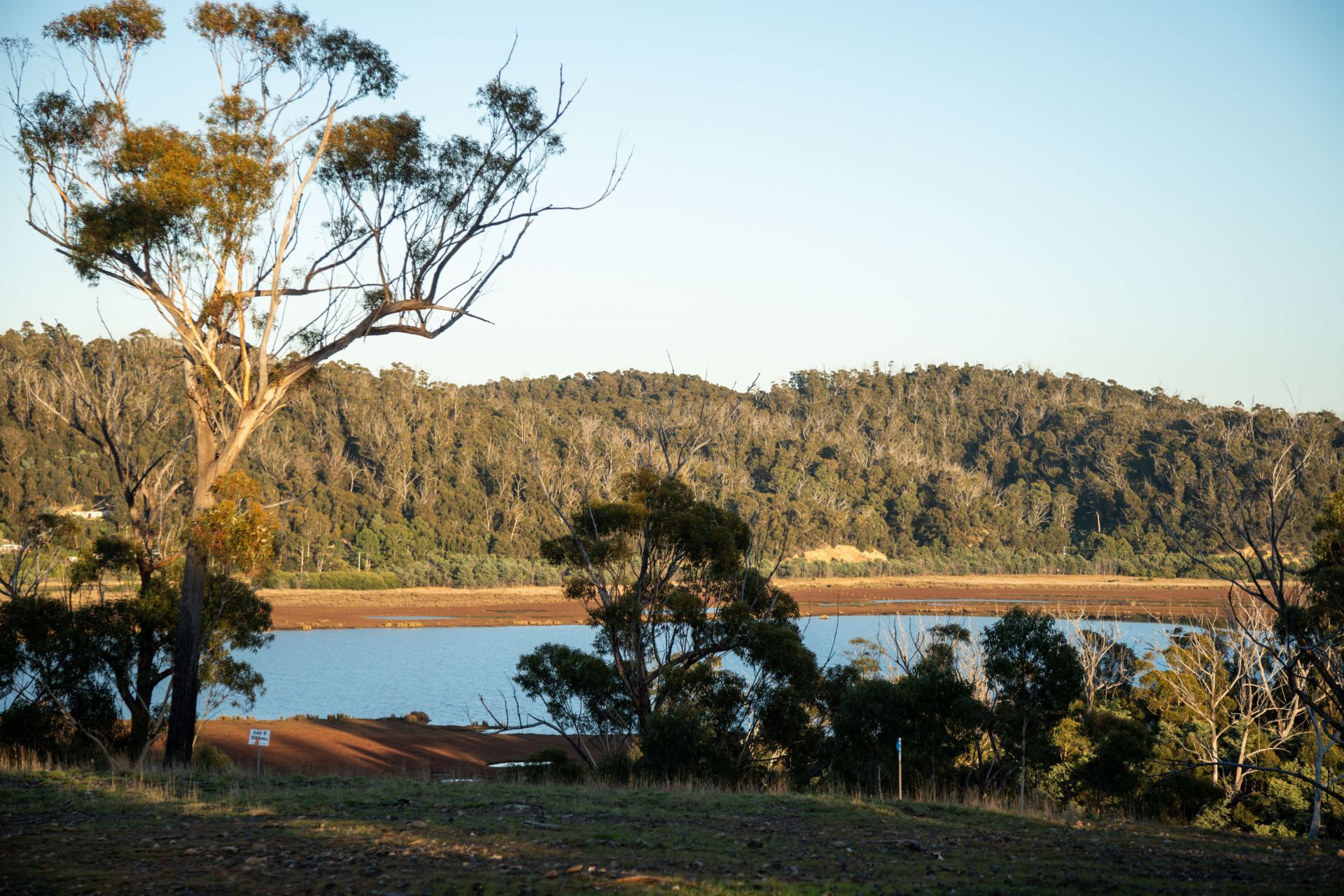 141 Riverview Road, Scamander Harrison Agents