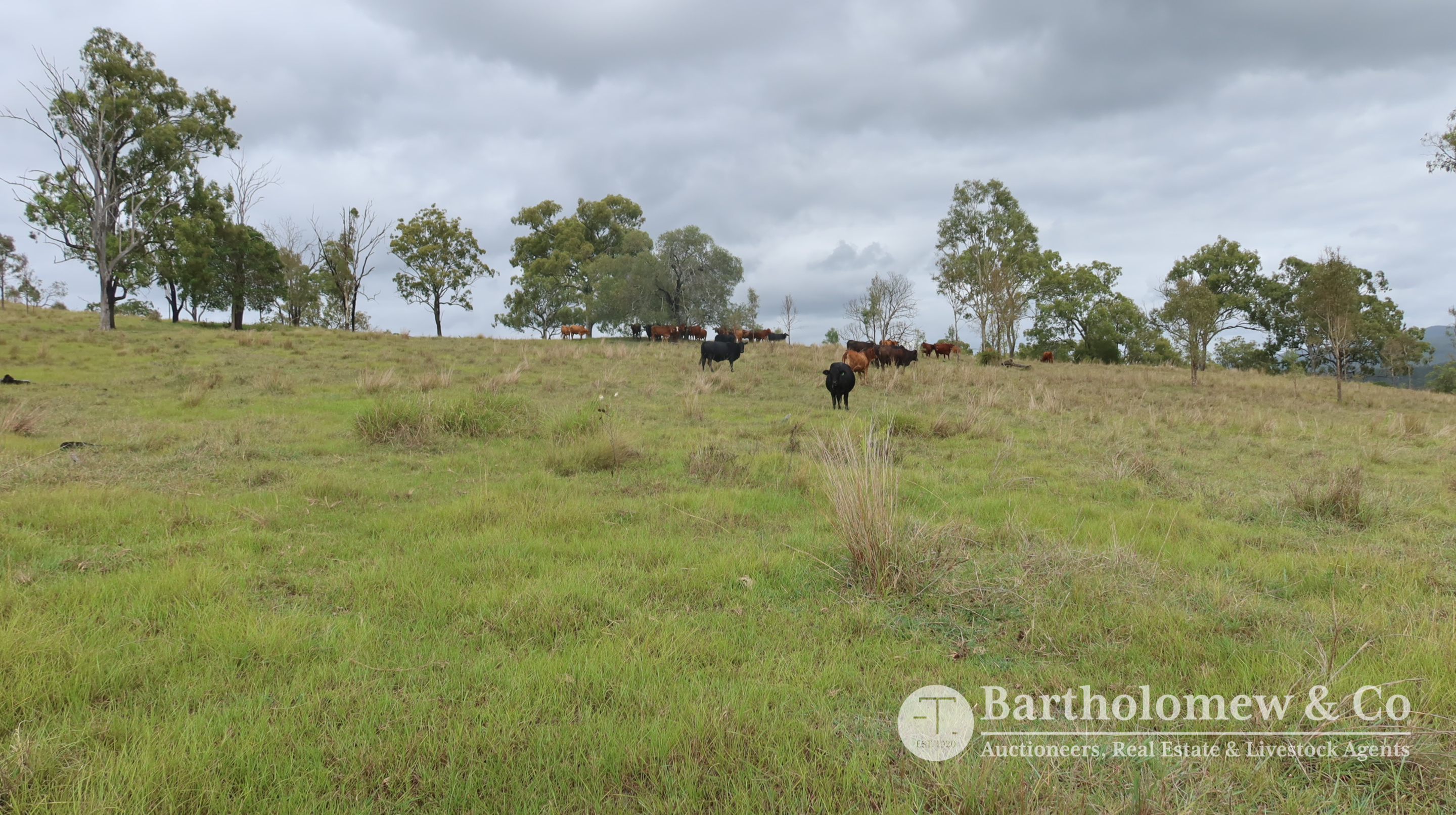 Real Estate For Sale 8225 Mt Lindesay Highway Josephville , QLD