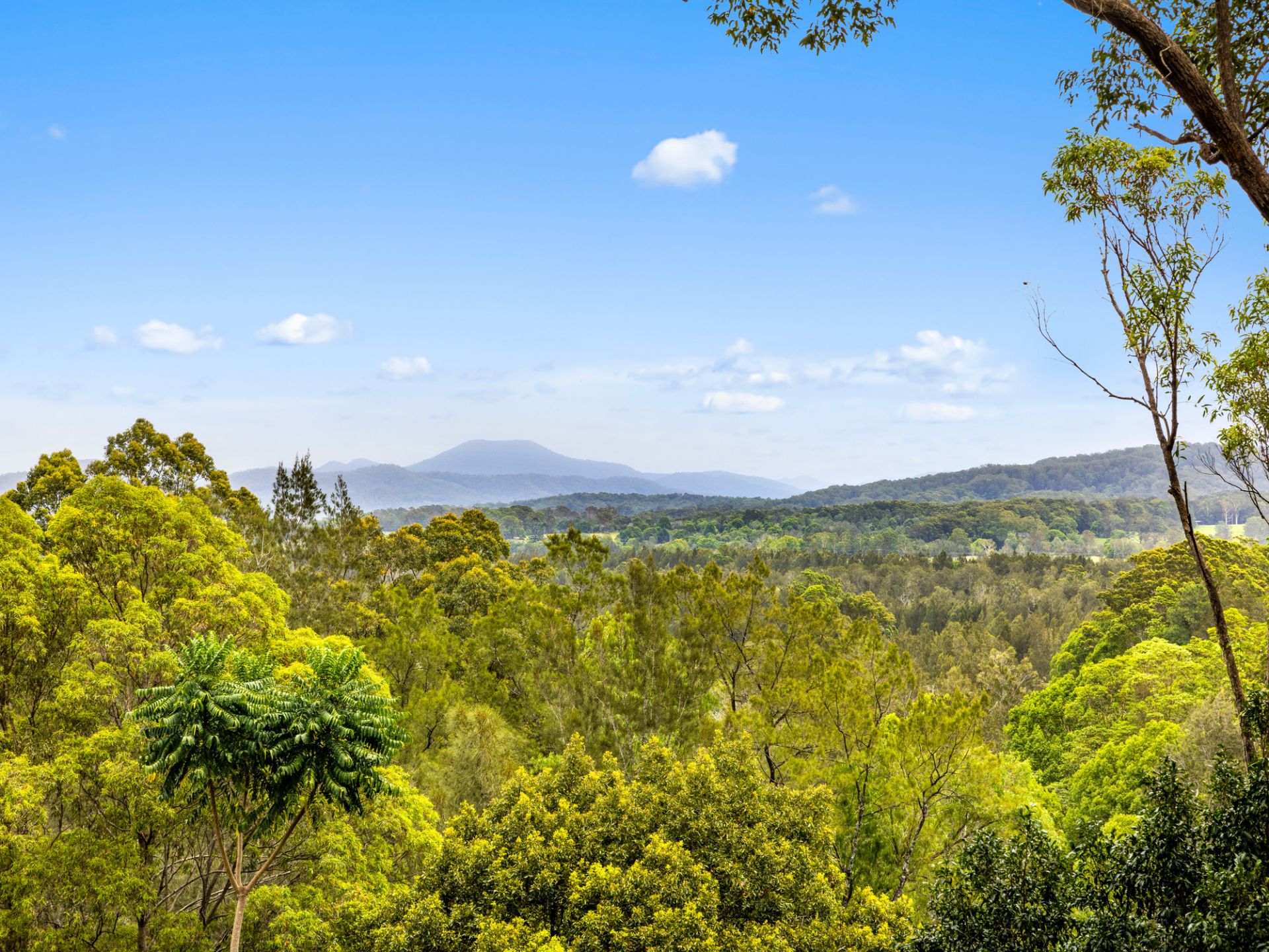 Real Estate For Sale 39 Perrys Road Repton , NSW