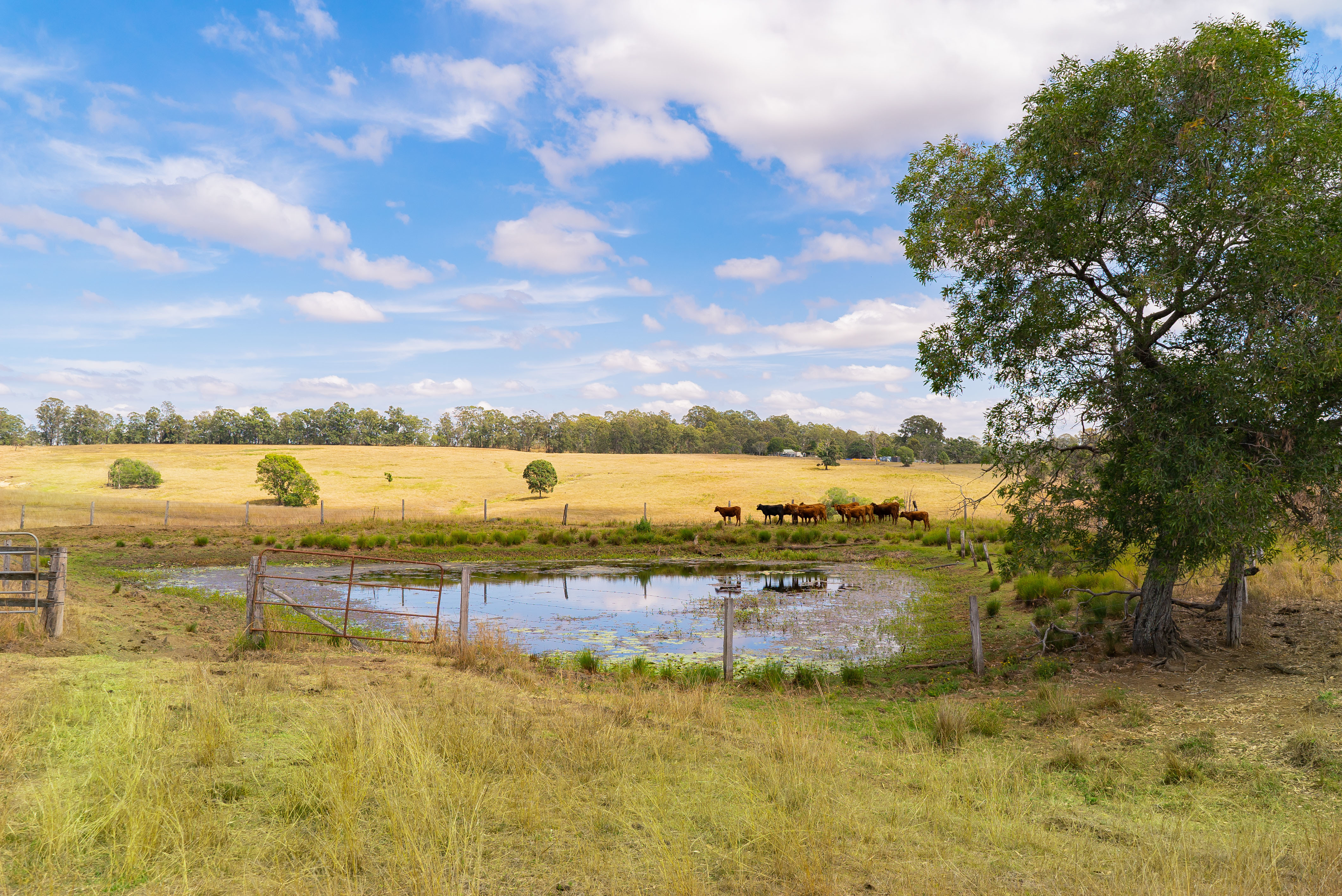 Real Estate For Sale 236 Birnam Range Road Beaudesert , QLD