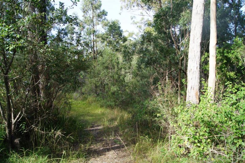 Real Estate For Sale 319 Dirty Creek Road Dirty Creek , NSW