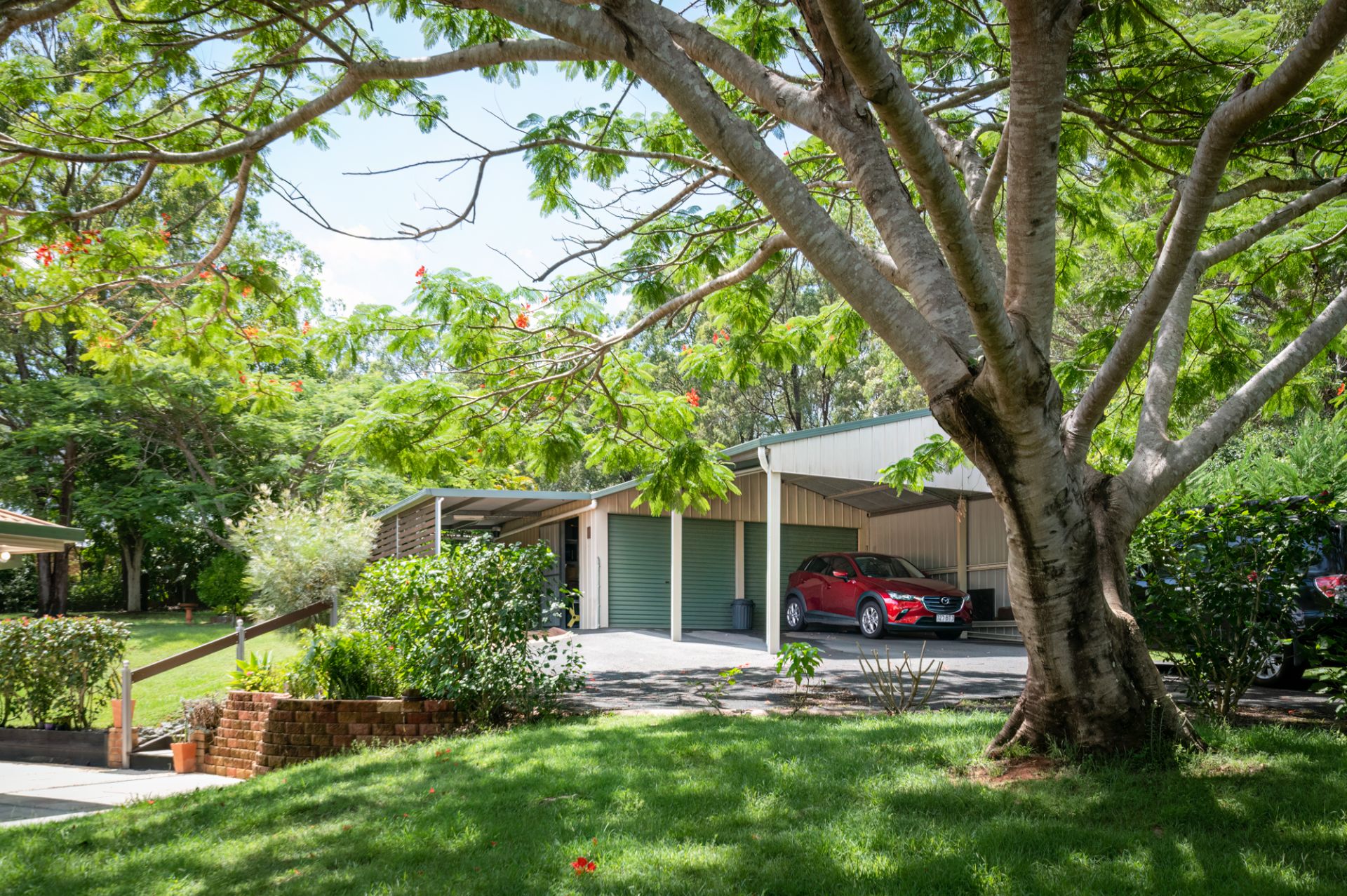 97107 Fenwick Road, Boyland Canungra Valley Real Estate