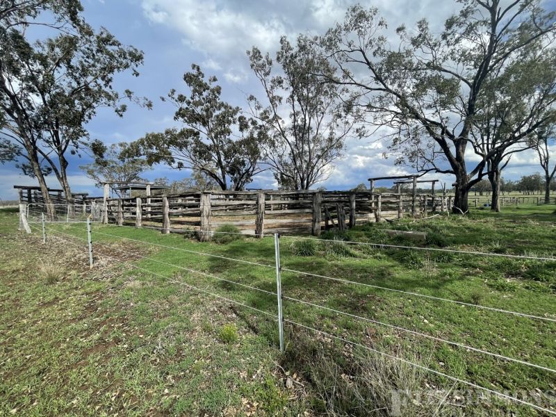 991 Cecil Plains Moonie Road, Cecil Plains Fitzsimmons Real Estate