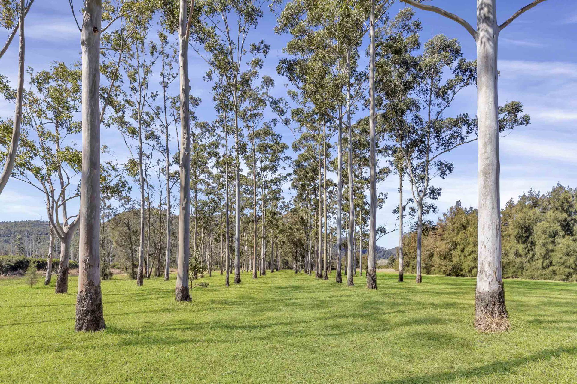 Real Estate For Sale 7009 Wisemans Ferry Road Gunderman , NSW