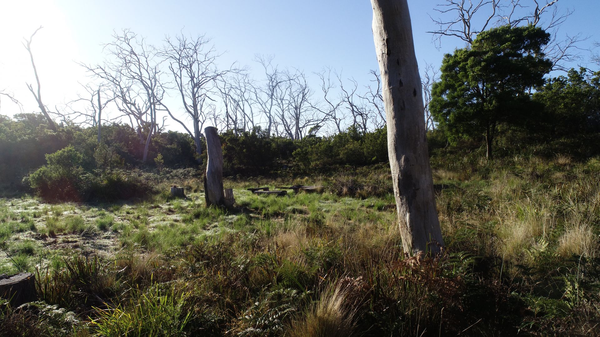 Real Estate For Sale Lot 23 Otway Park Estate Cape Otway , VIC