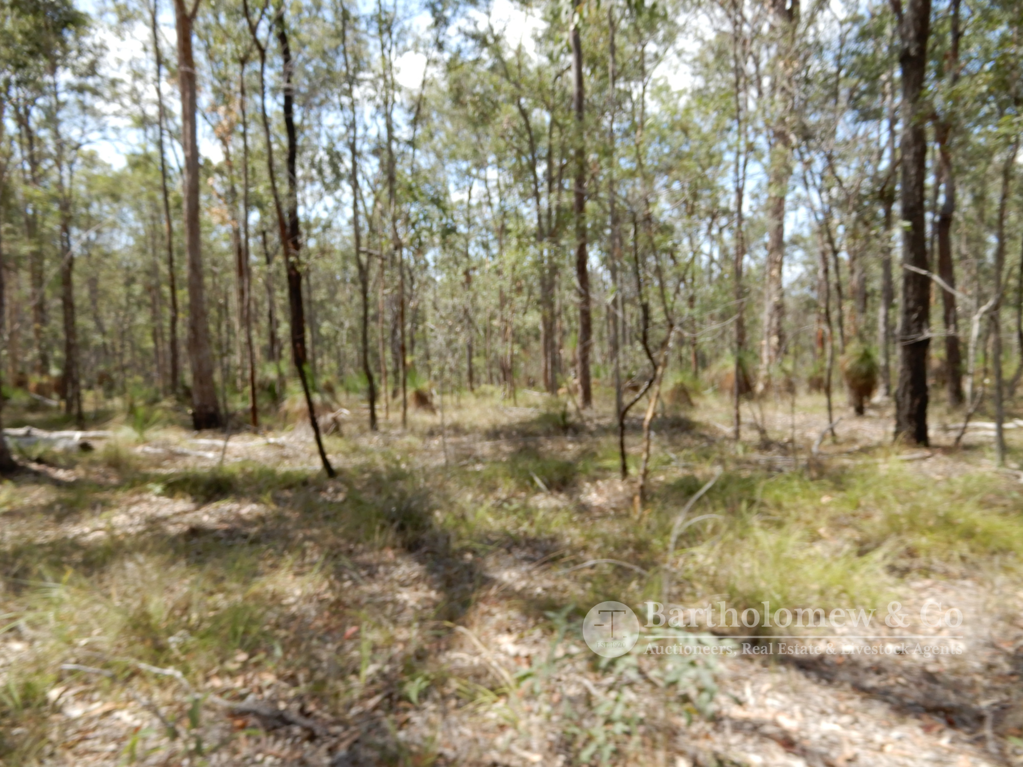 Real Estate For Sale Lot 363 Tamrookum Creek Road Tamrookum Creek , QLD