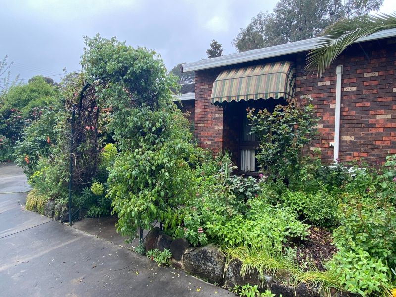 Residential Properties For Lease Cantwell Property Castlemaine