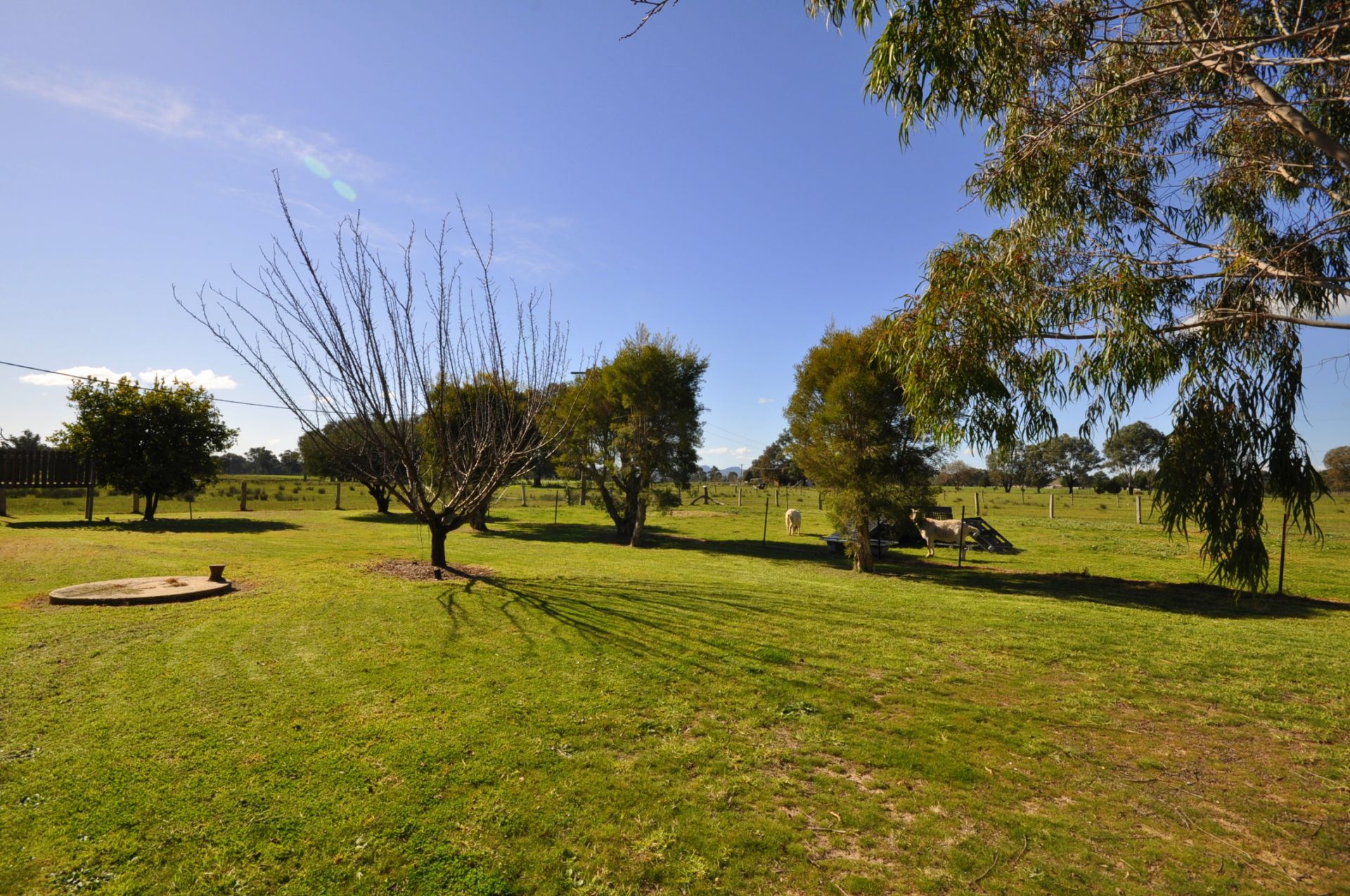 161 Dights Forest Road, Jindera Kane Real Estate