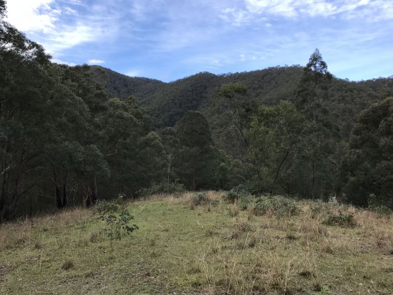 For Sale By Owner Lower Creek NSW 2440 277 Petroi Road