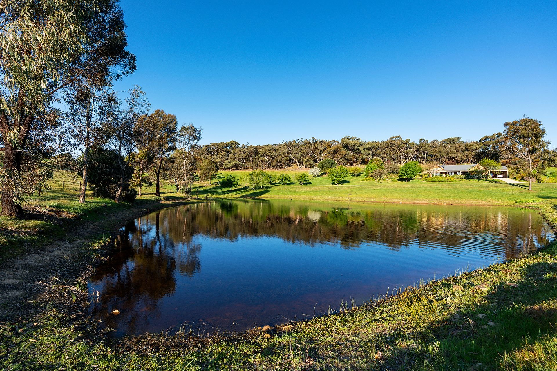 66 Mccay Reservoir Road, Chewton Cantwell Property Castlemaine
