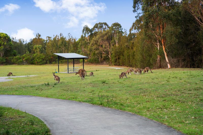 Real Estate For Sale 43 Wymeera Circuit Wyee Point , NSW