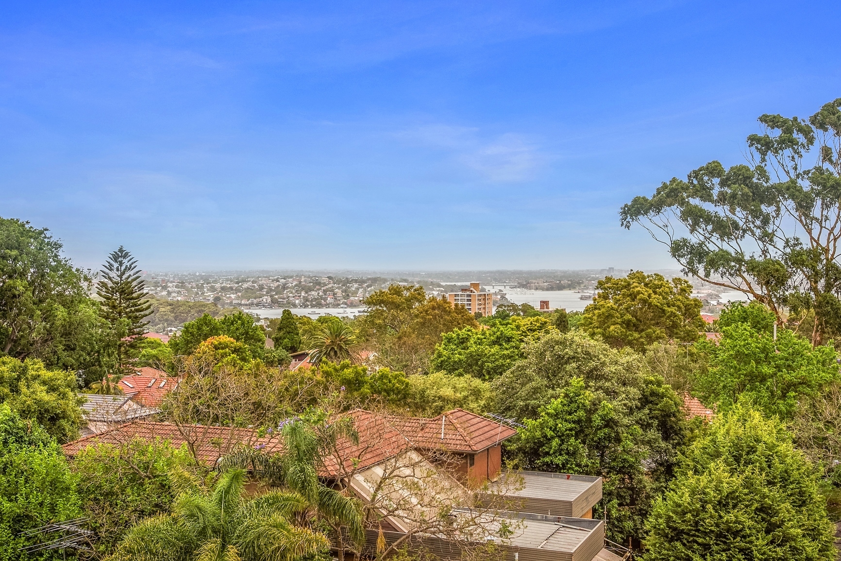 Real Estate For Lease 17/172 Pacific Highway North Sydney , NSW