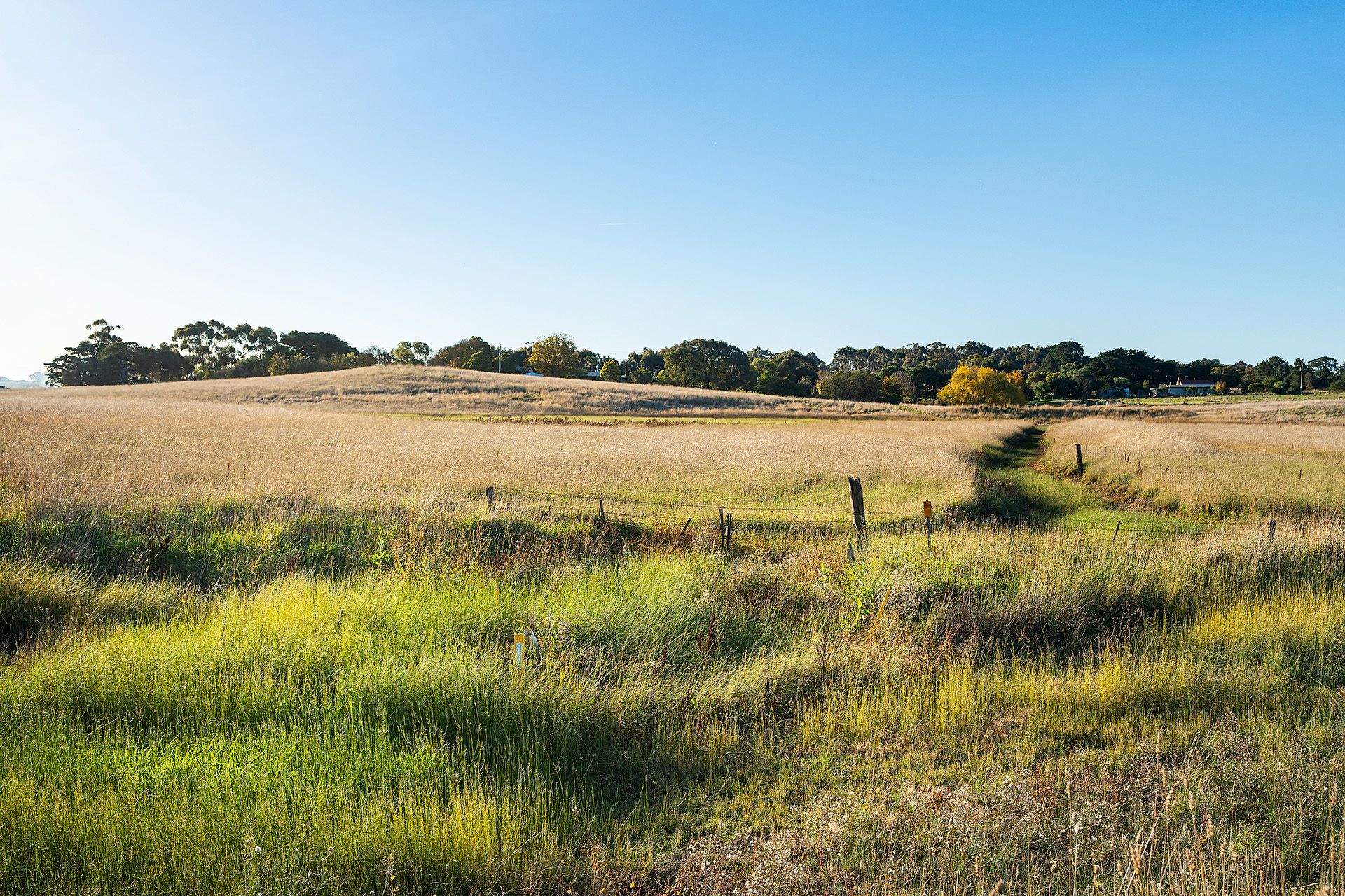 Real Estate For Sale Lot 2/ WillauraWickliffe Road Wickliffe , VIC