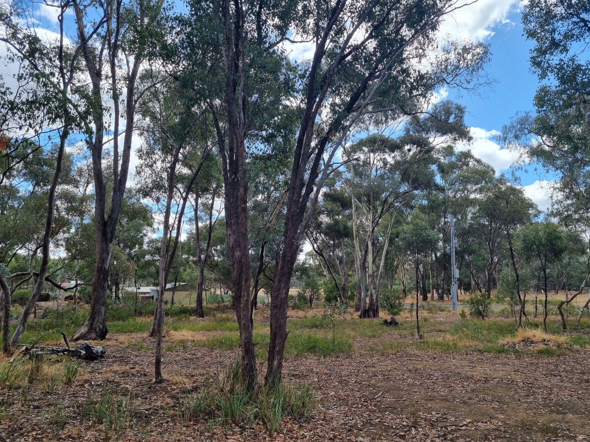 34 Road, Lockwood Bendigo Real Estate