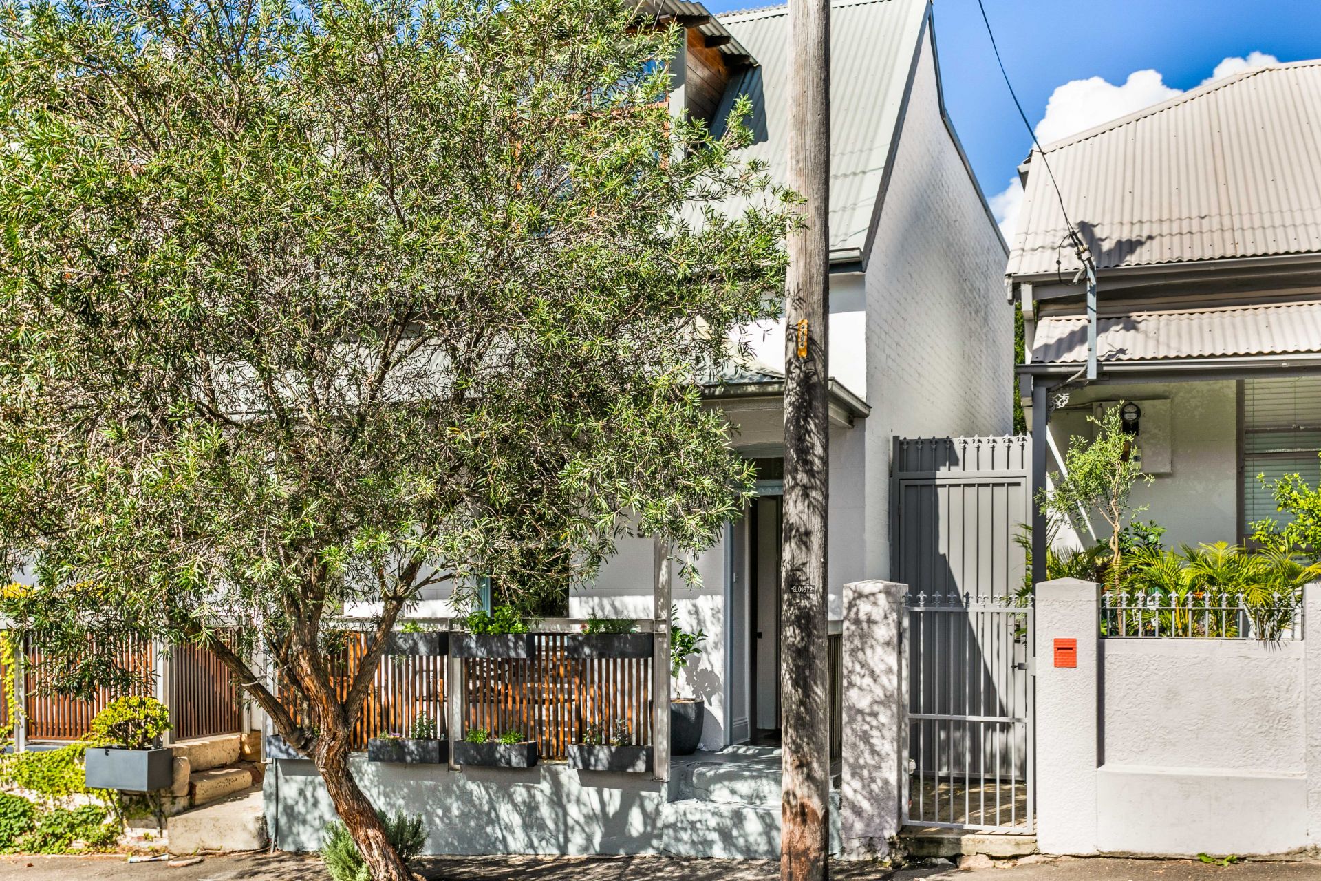 51 Gipps Street Birchgrove NSW 2041 House for Rent 6723745 CobdenHayson