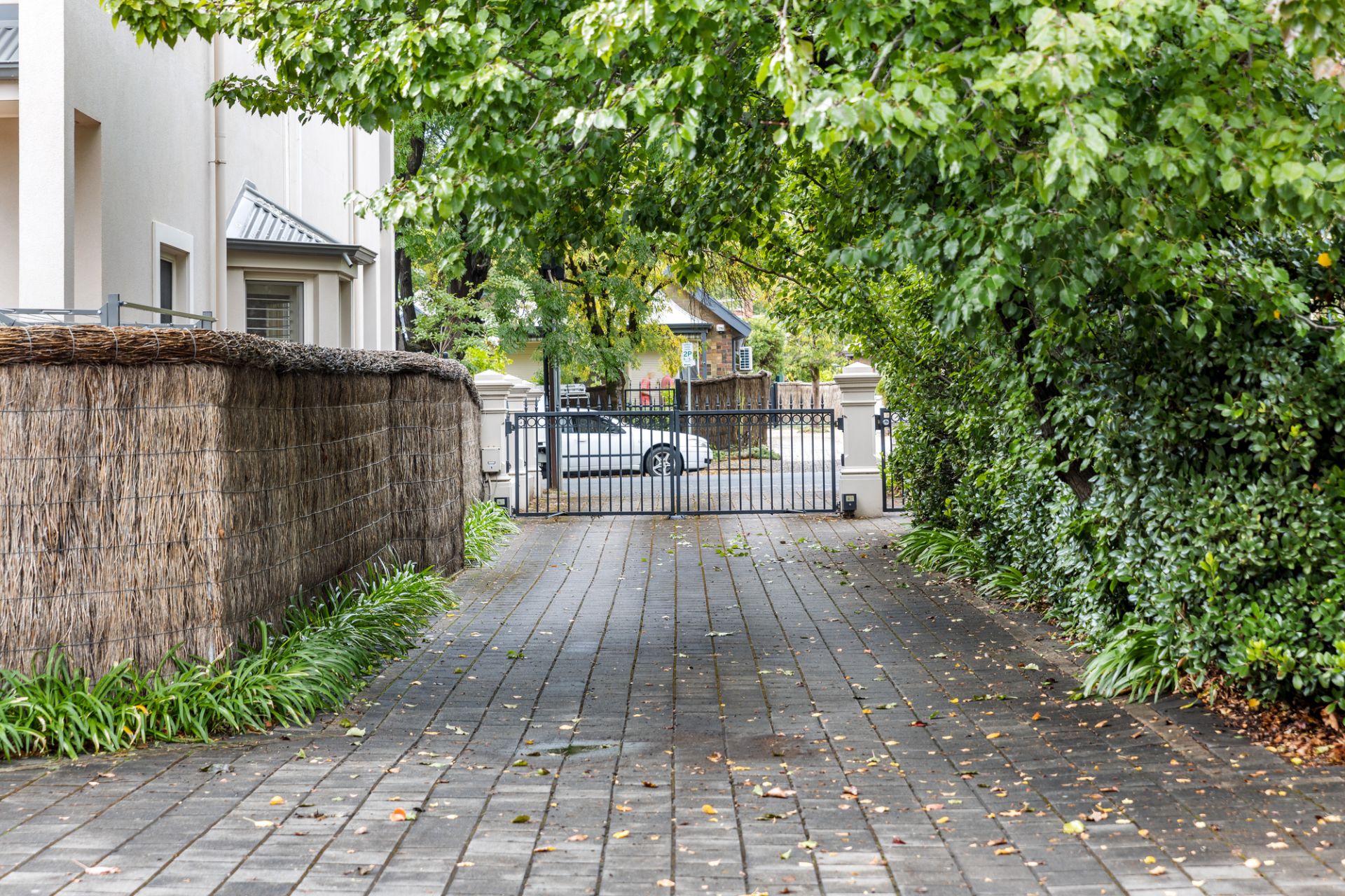 3/97 Street, Norwood Alexander Real Estate SA