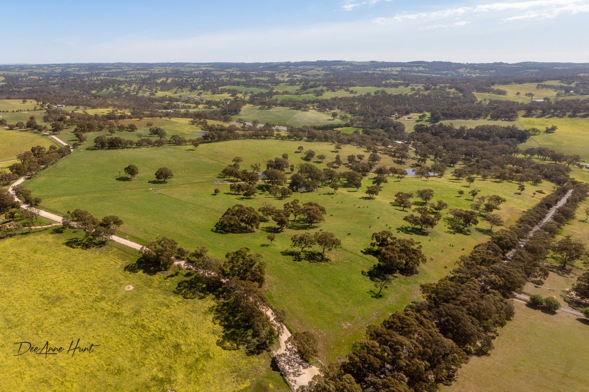 290 Gemmell Road, Macclesfield Williams Real Estate