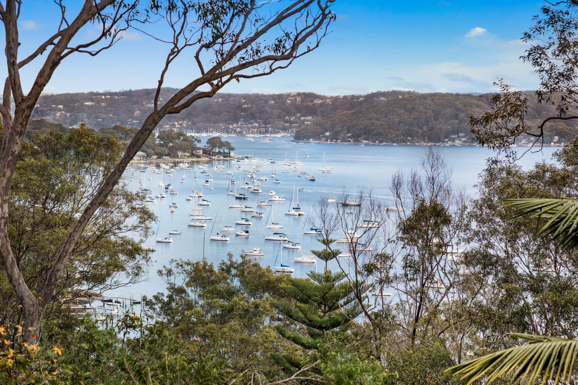 64 Trappers Way, Avalon Beach Blake Property