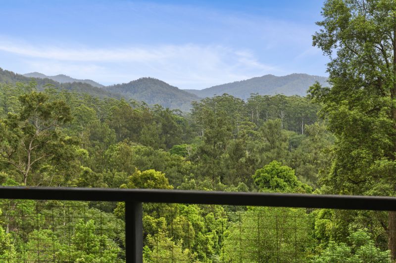 Real Estate For Sale 1772 Kalang Road Bellingen , NSW