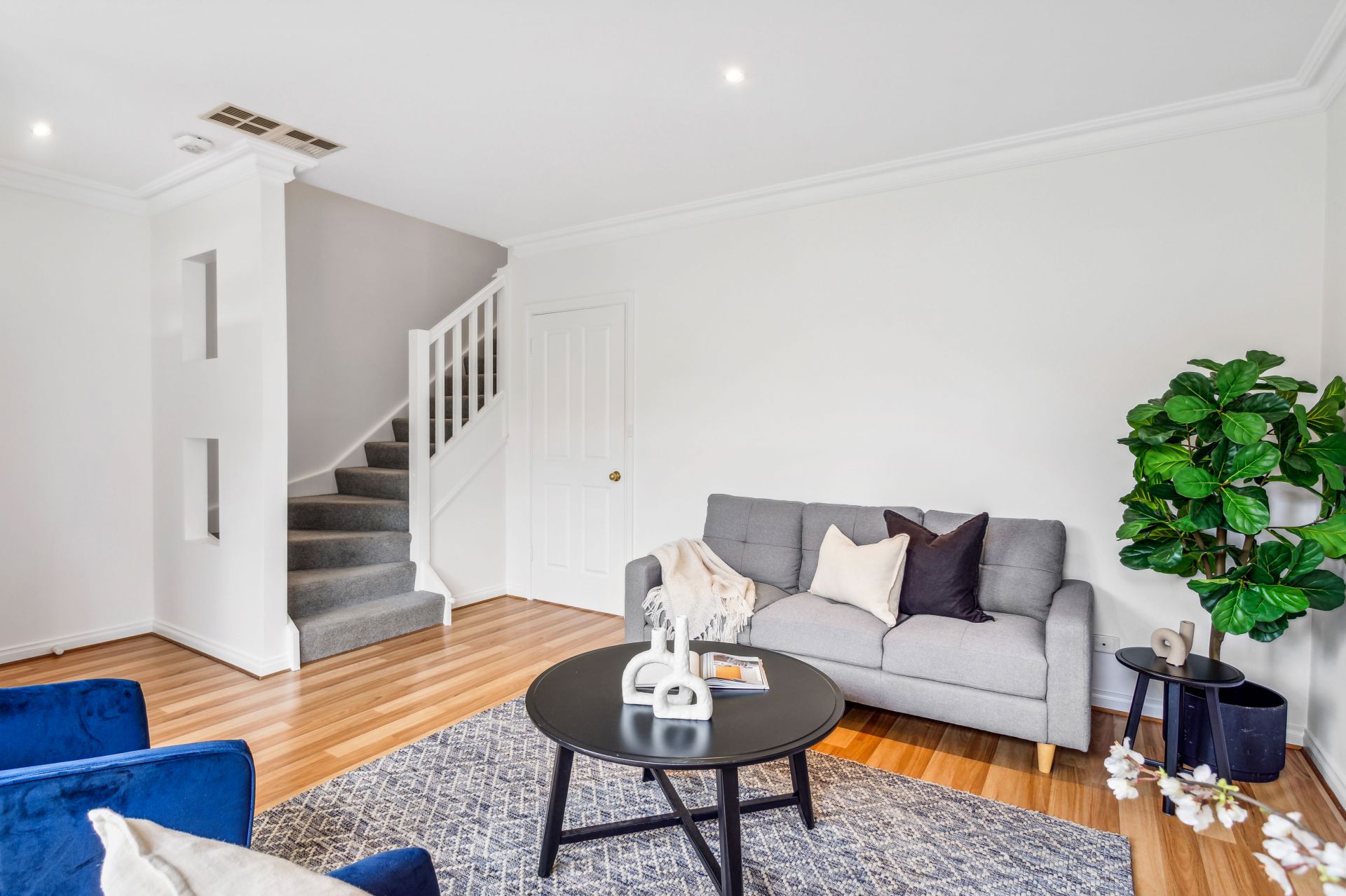 6/67 Conyngham Street, Glenside Williams Real Estate