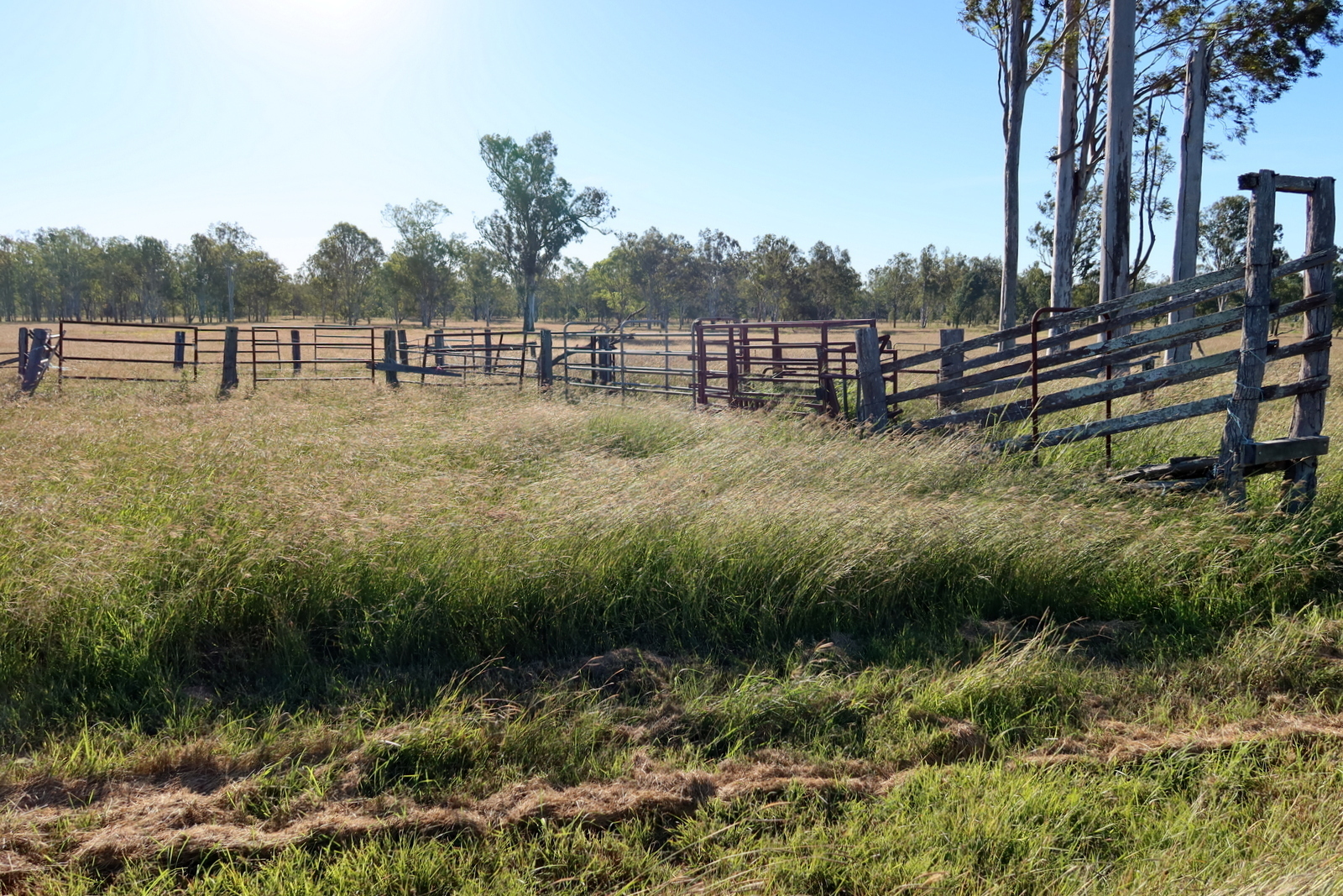 Real Estate For Sale Lot 74 Middle Road Purga , QLD