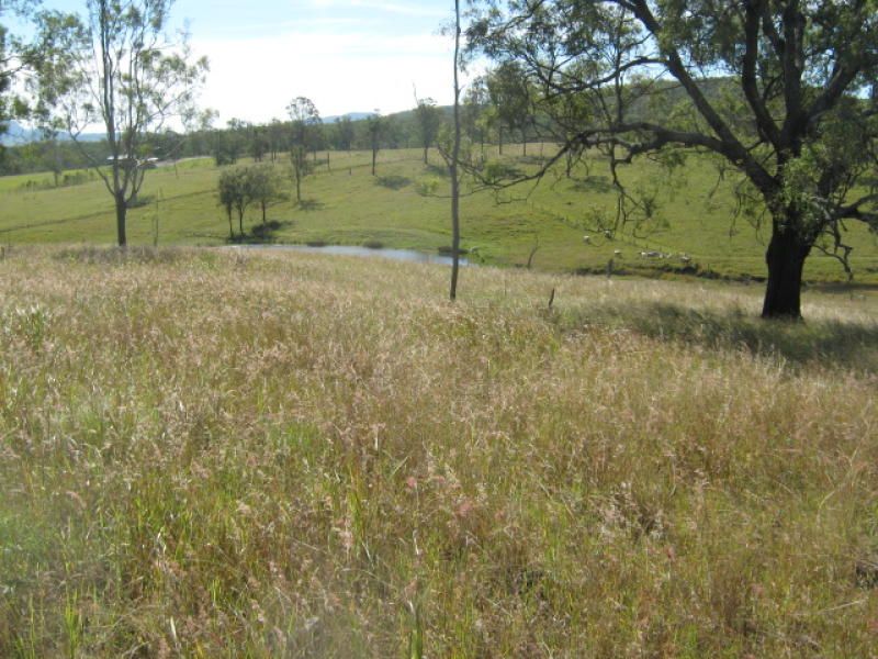 Real Estate For Sale Maroon , QLD