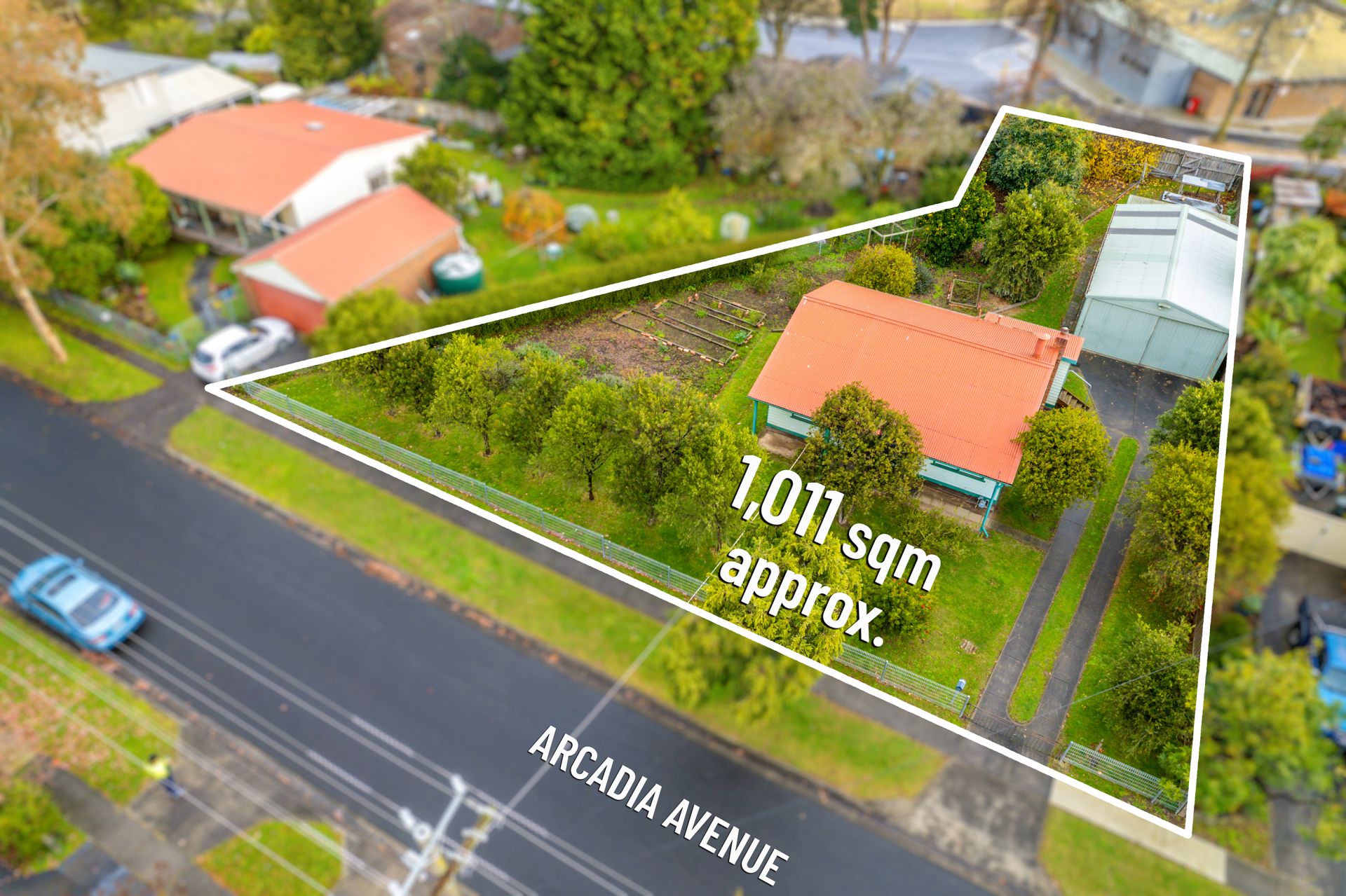 75 Arcadia Avenue, The Basin OBrien Real Estate