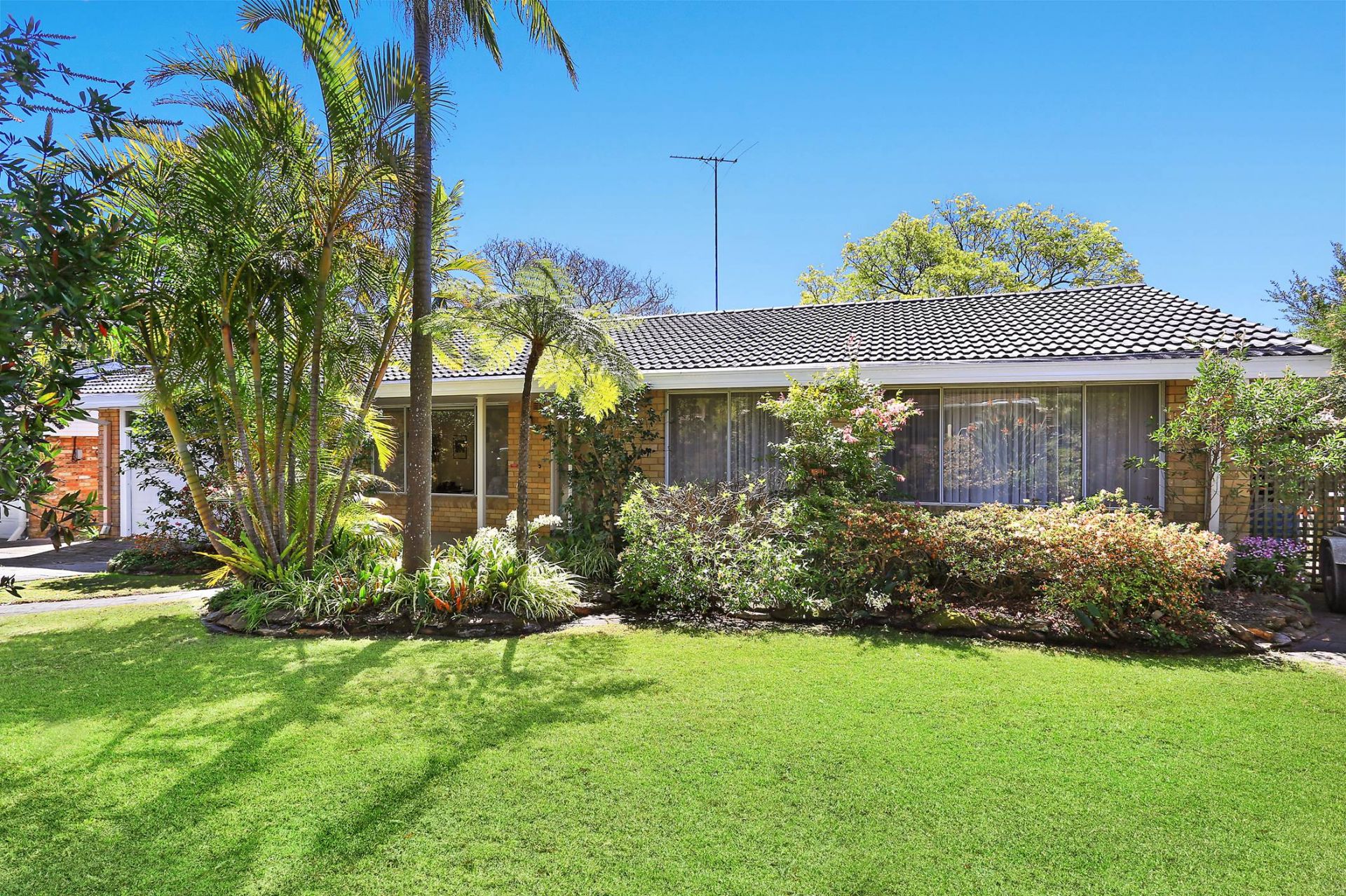 Real Estate For Lease 44 Yarrabin Street Belrose , NSW