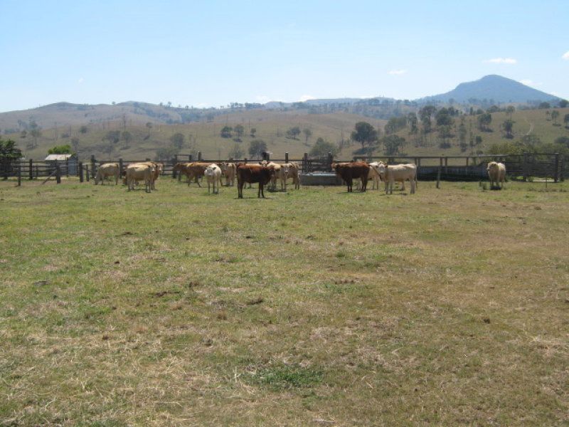 Real Estate For Sale Maroon , QLD