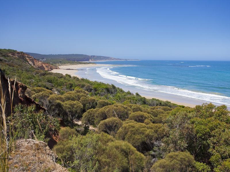 Real Estate For Sale 4648 Eighth Avenue Anglesea , VIC