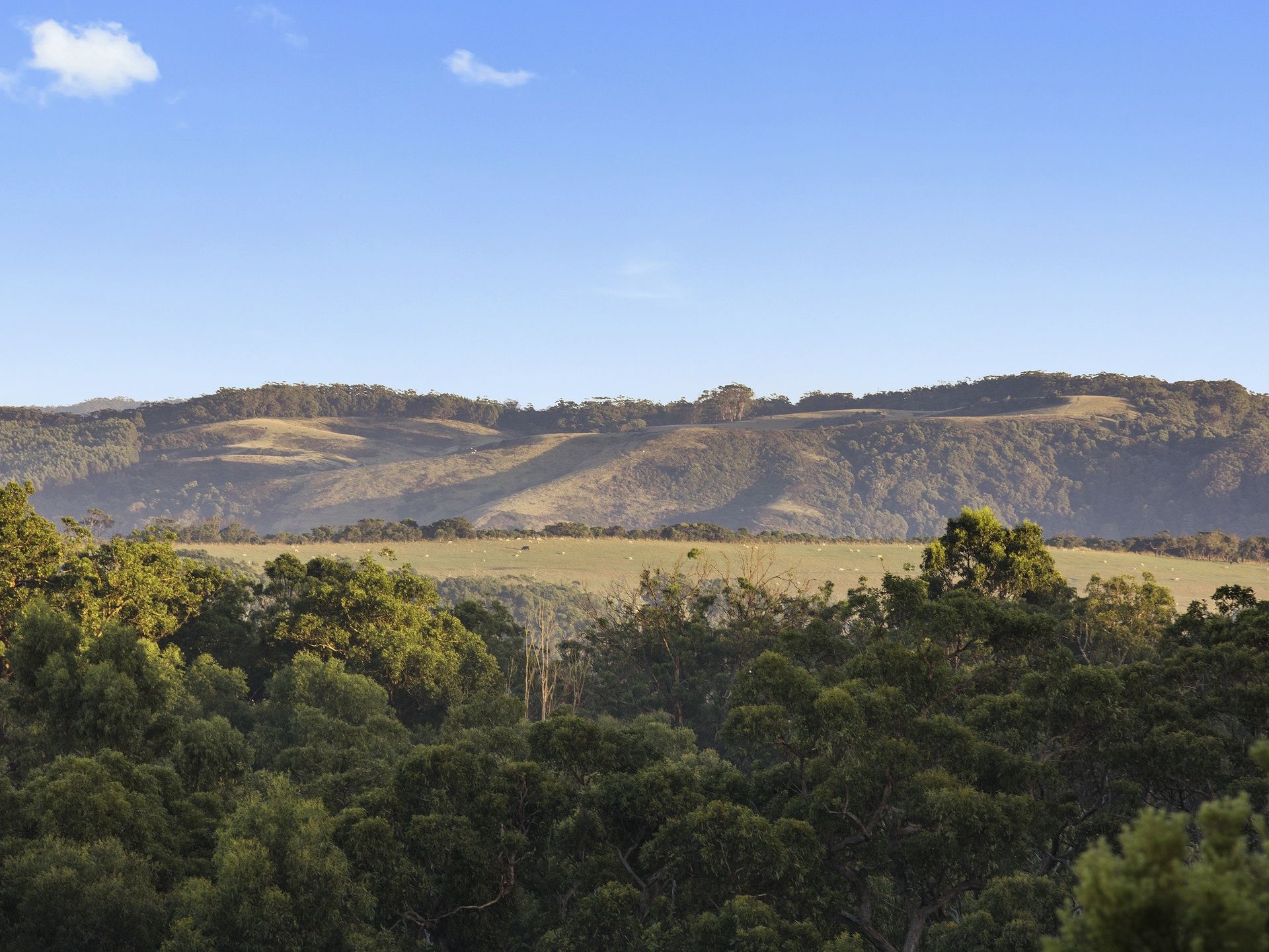 Real Estate For Sale 8/615 Hordern Vale Road Hordern Vale , VIC