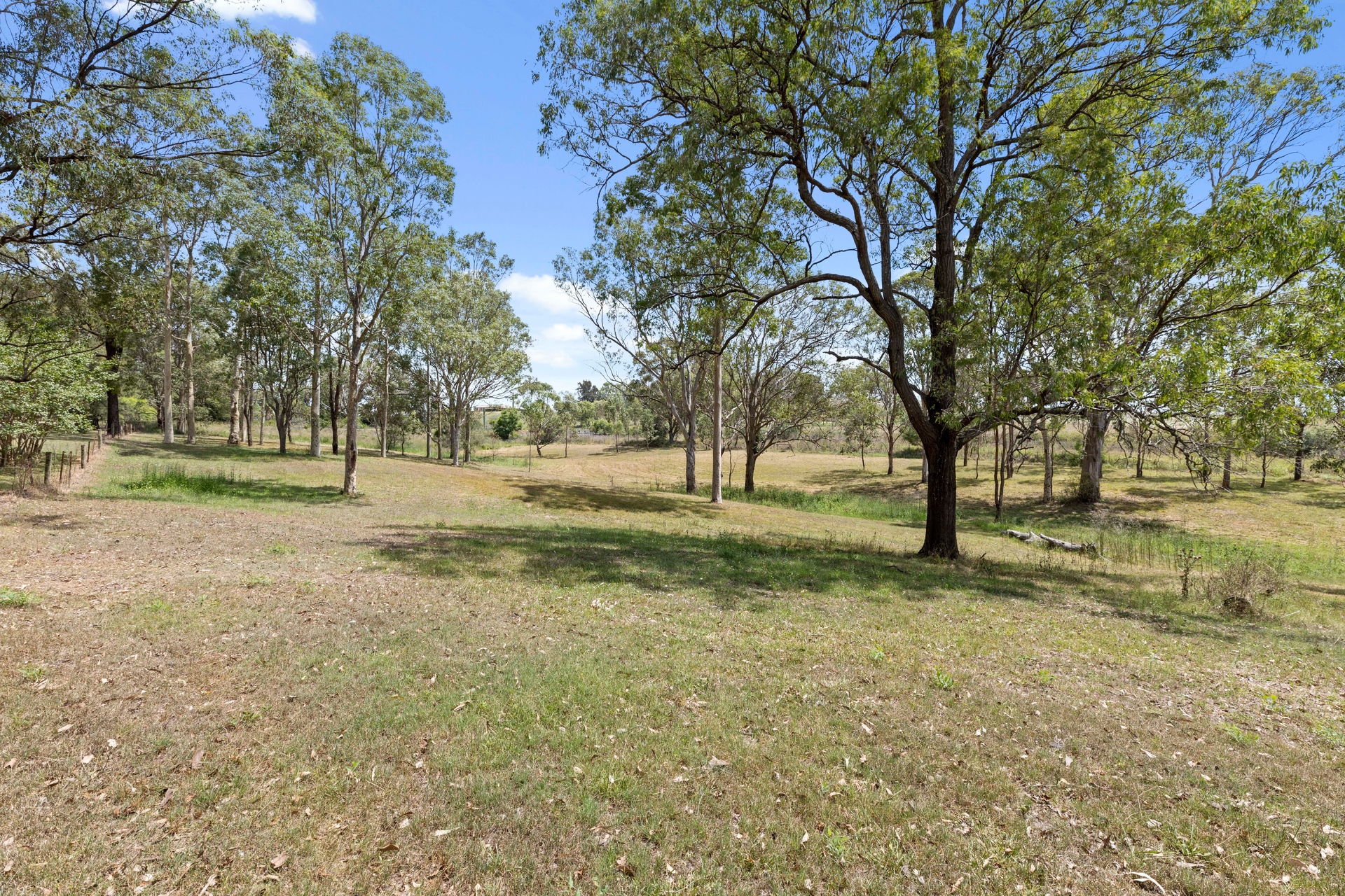 82 Maitland Vale Road, BOLWARRA HEIGHTS Peters Real Estate