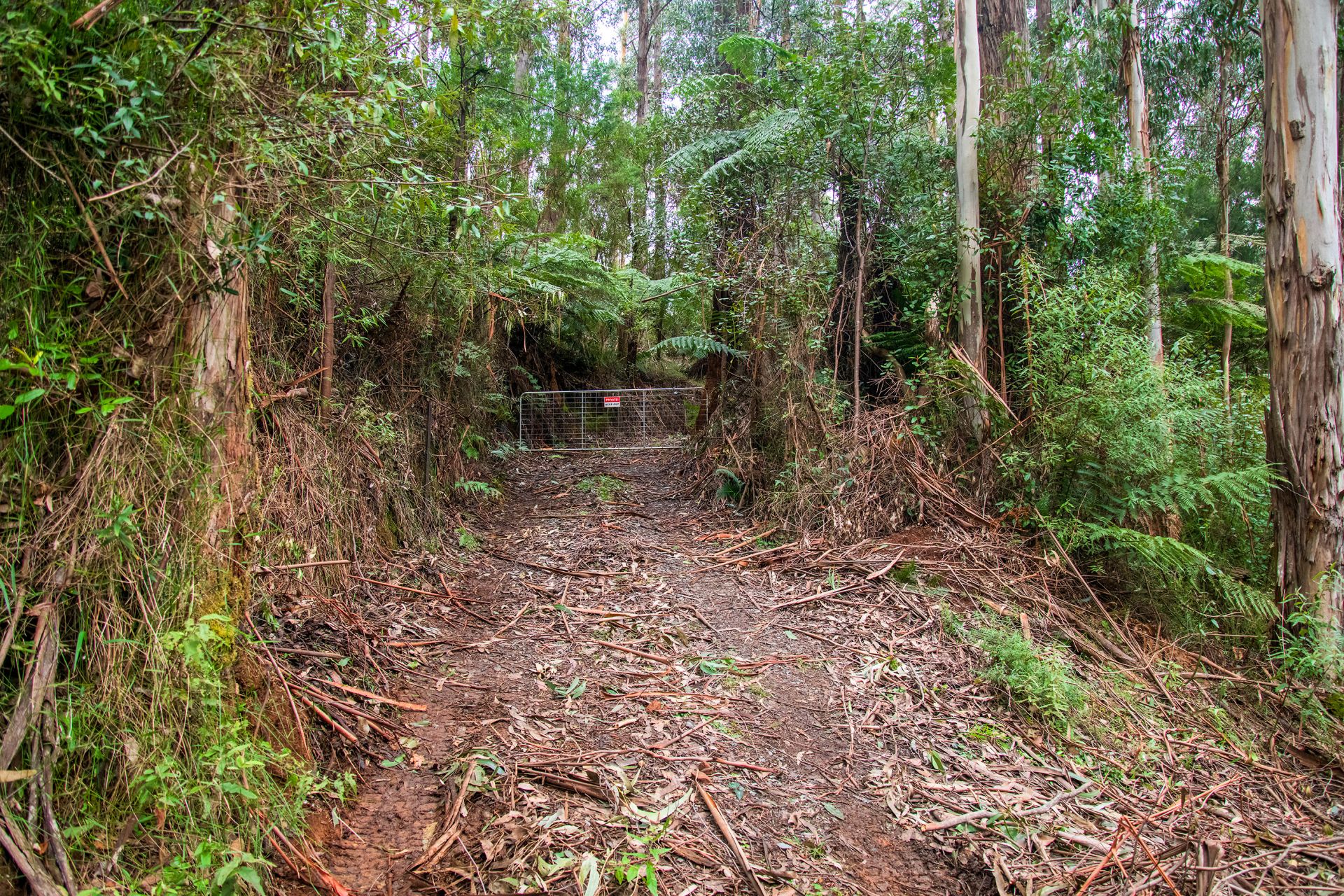 1/ Mount Baw Baw Tourist Road, Icy Creek OBrien Real Estate
