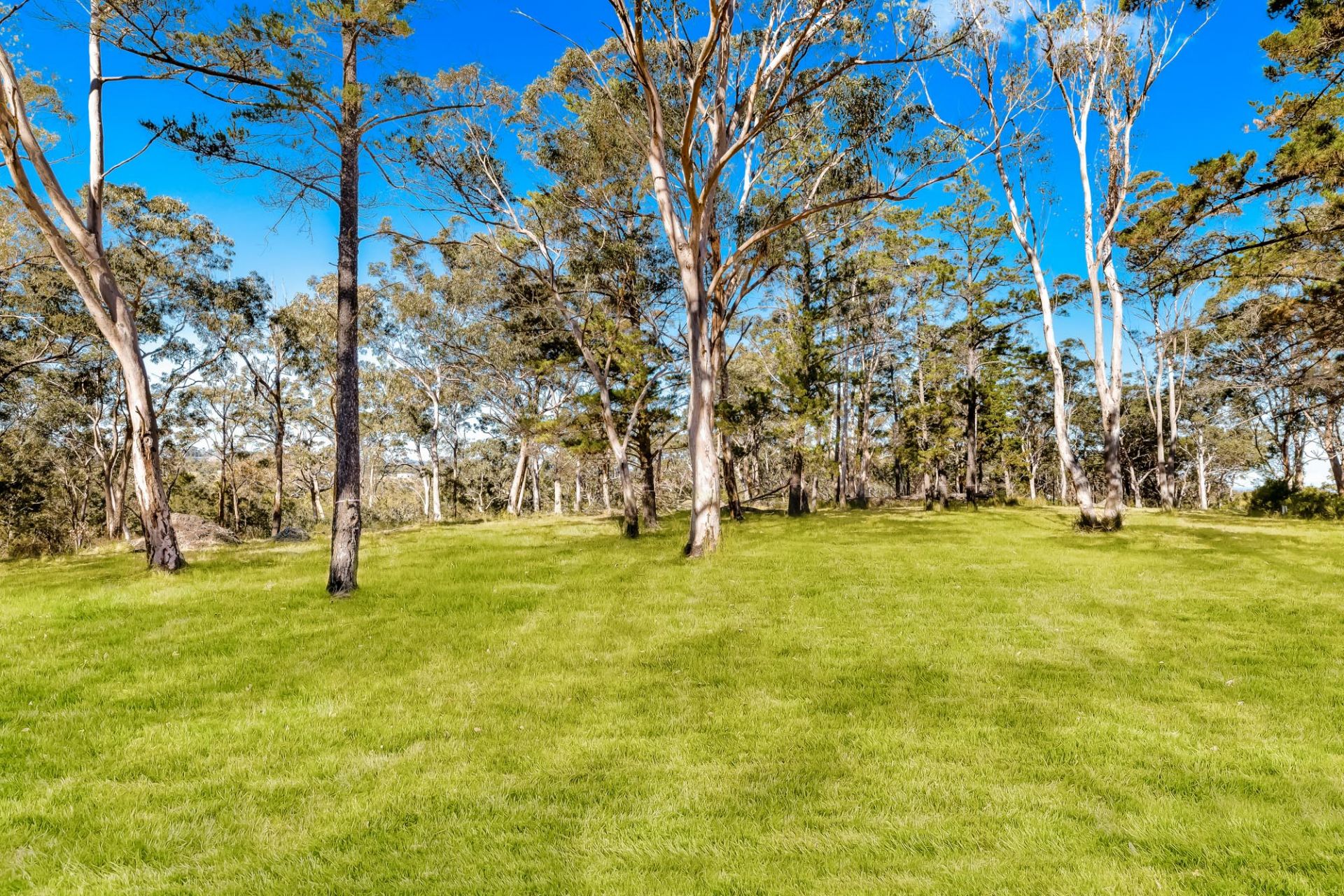 Vesperman Road, Glenorie Lumby Real Estate