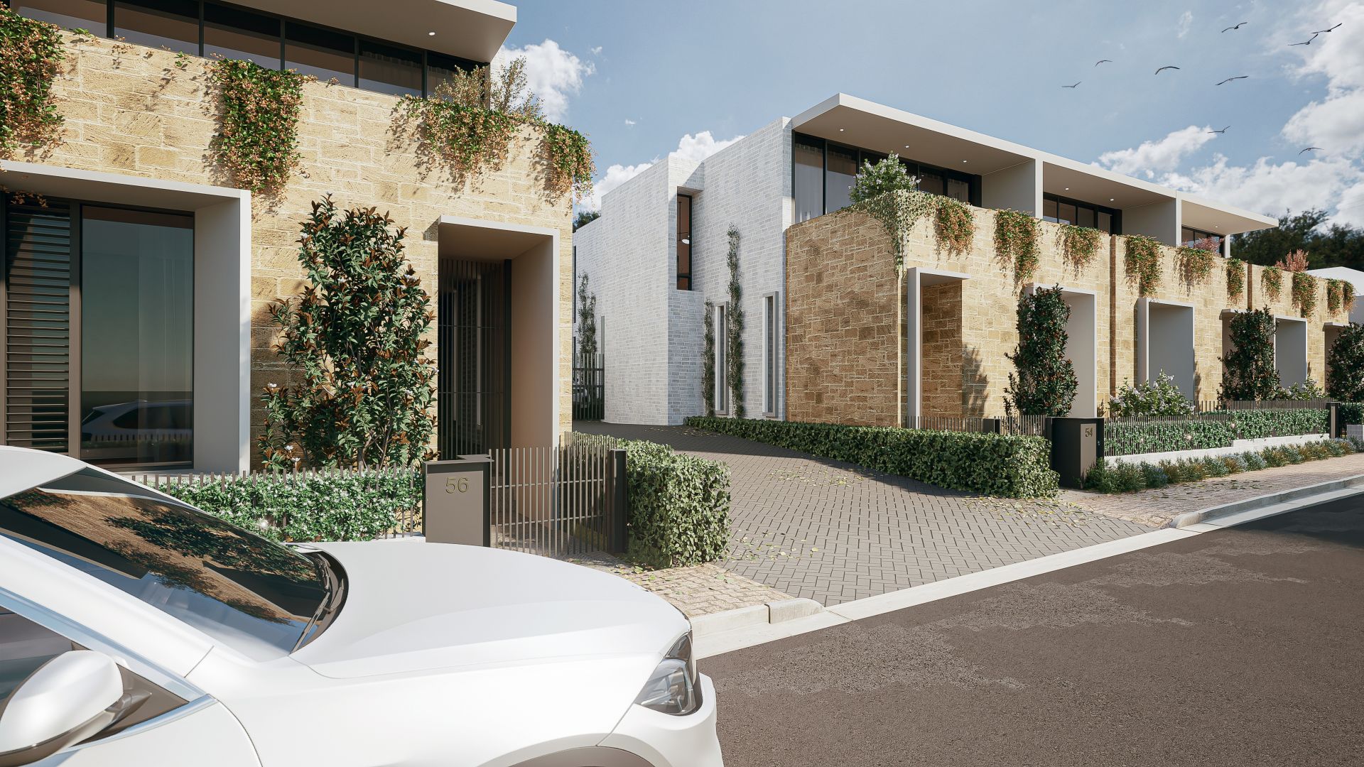 50 54 Sussex Street, North Adelaide Williams Real Estate