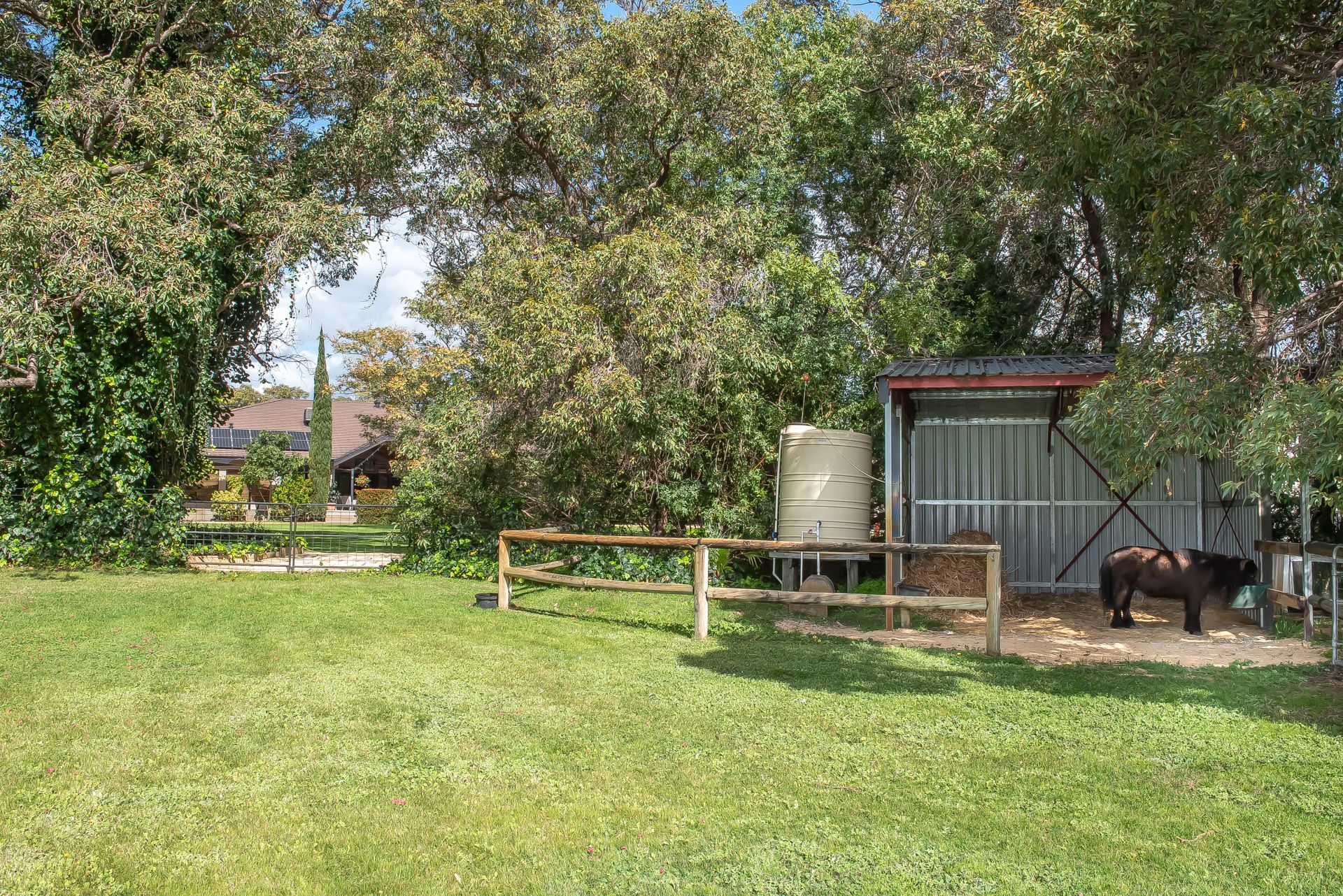 42 Hayward Road, Martin Porter Matthews Victoria Park