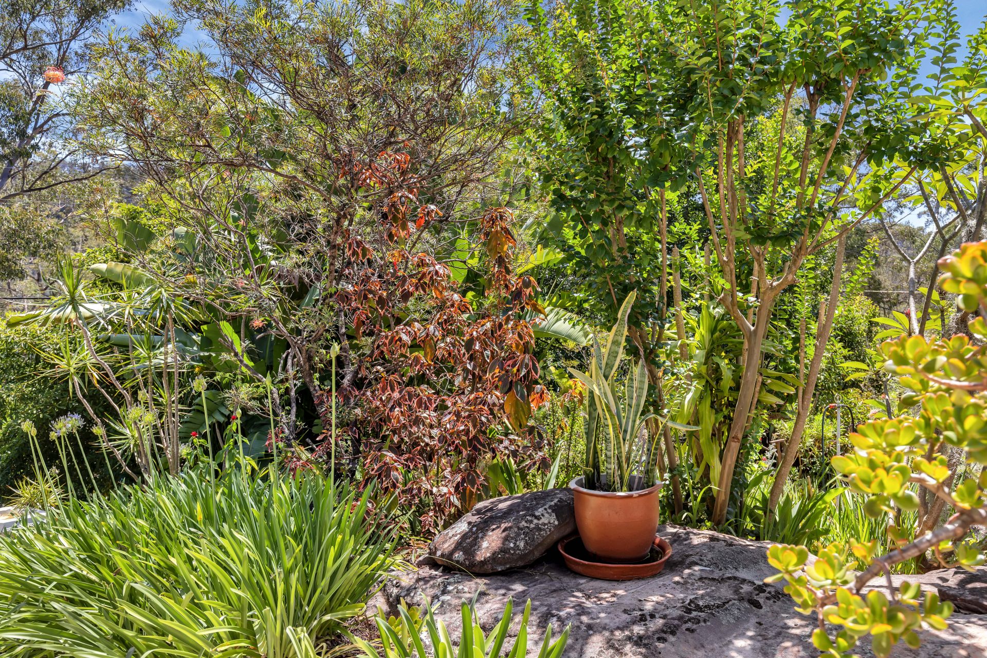 Real Estate For Sale 5936 Wisemans ferry Road Gunderman , NSW