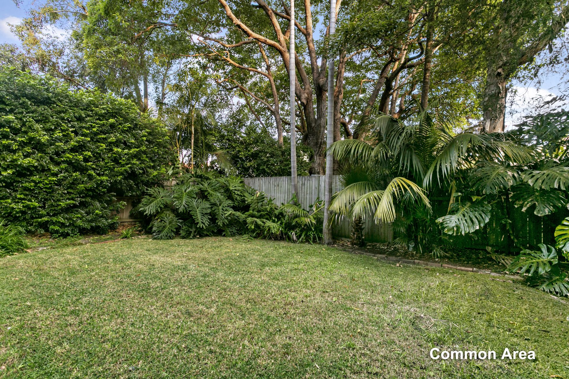 House For Sale Cabramatta Road Mosman at Francis Cherry blog