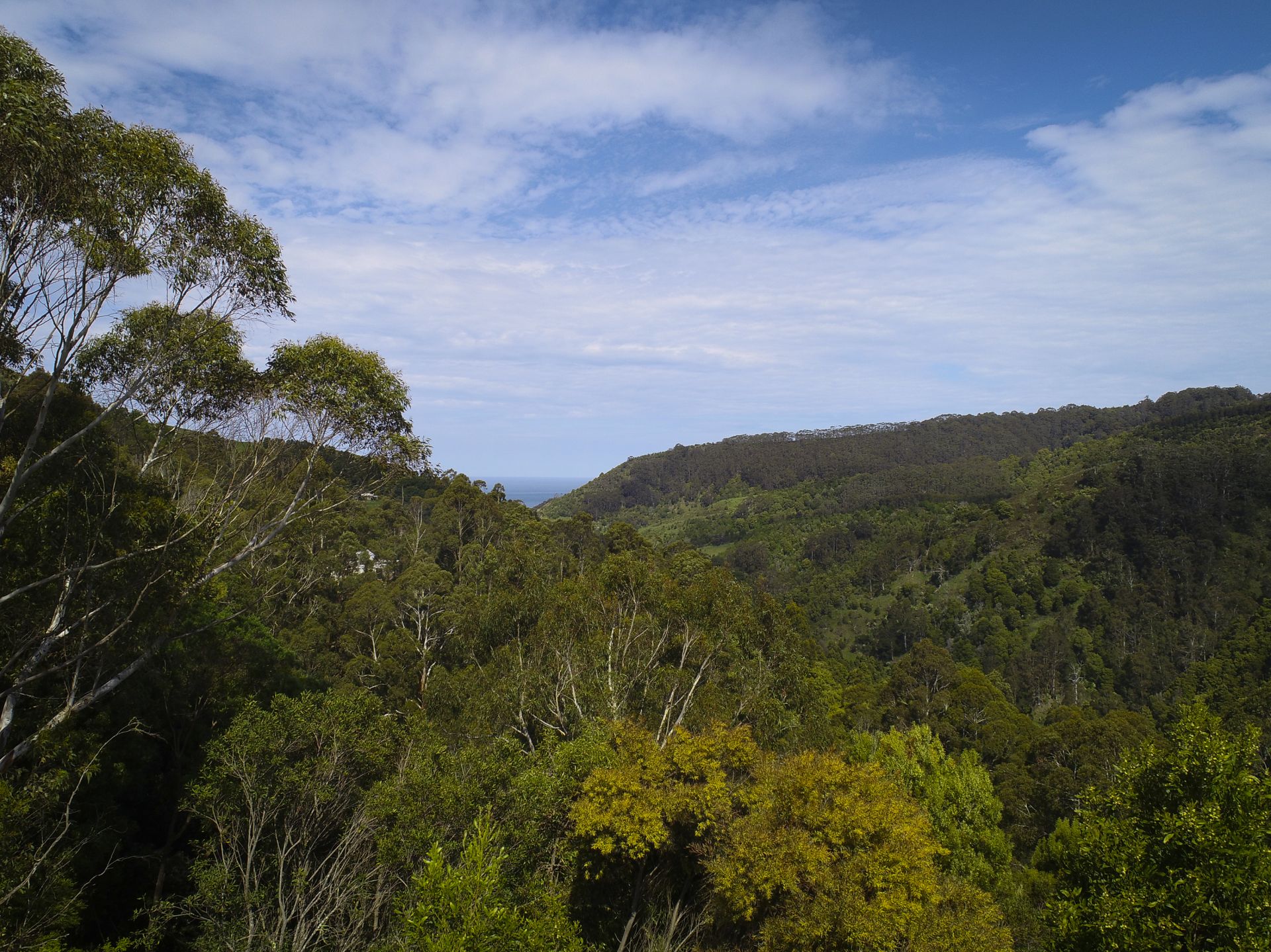Real Estate For Sale 390 Wild Dog Road Apollo Bay , VIC