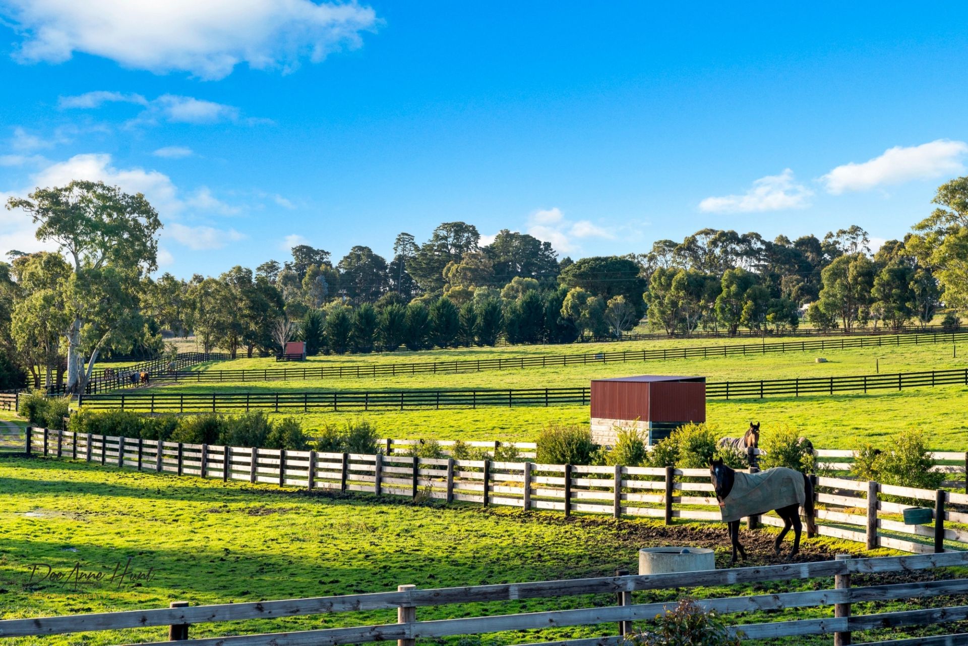 507 Echunga Road, Echunga Williams Real Estate