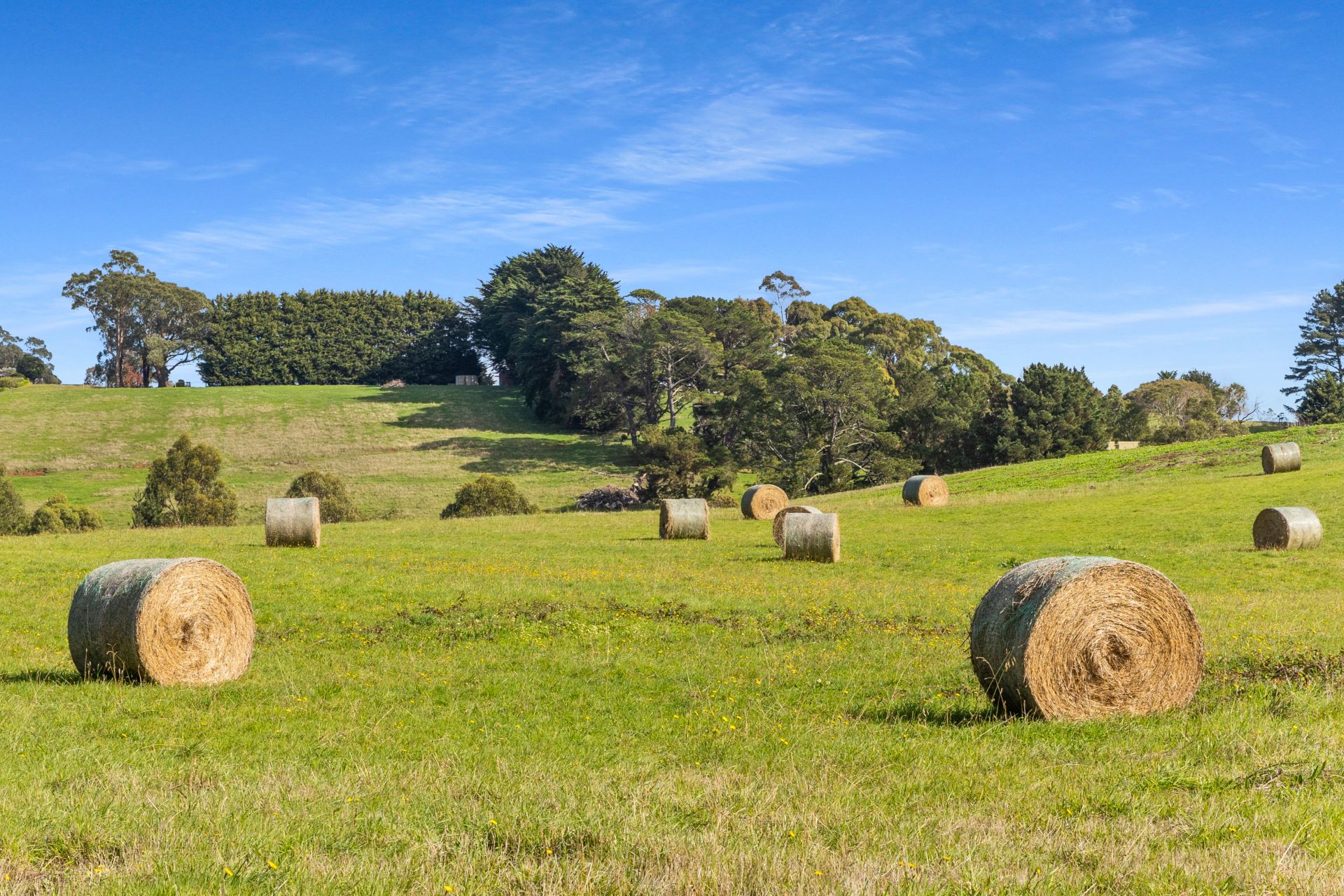 Kay & Burton 427 Shands Road, Main Ridge