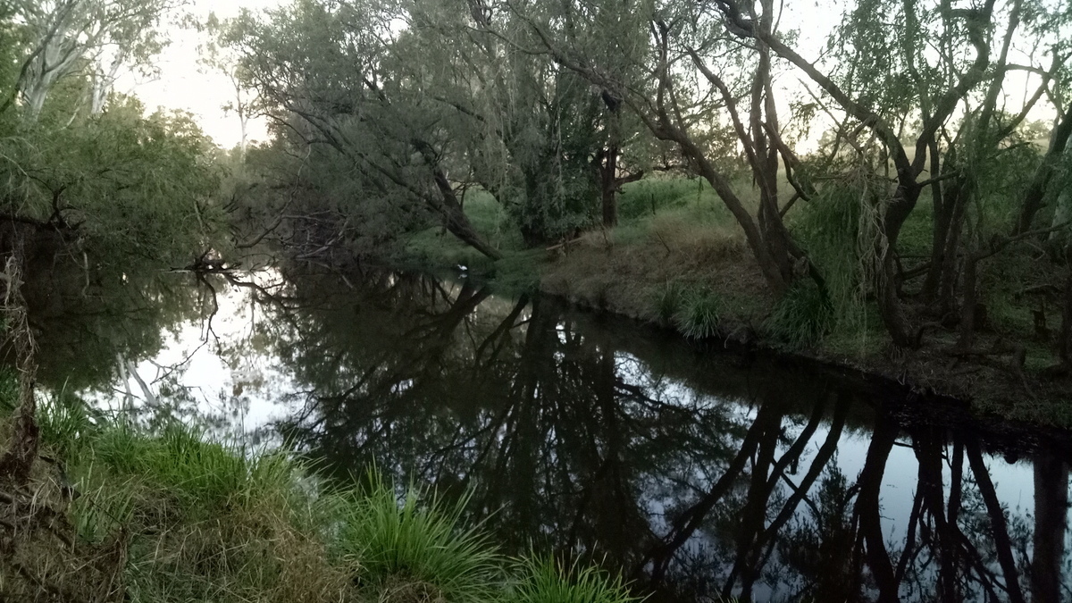 Real Estate For Sale Lot 74 Middle Road Purga , QLD