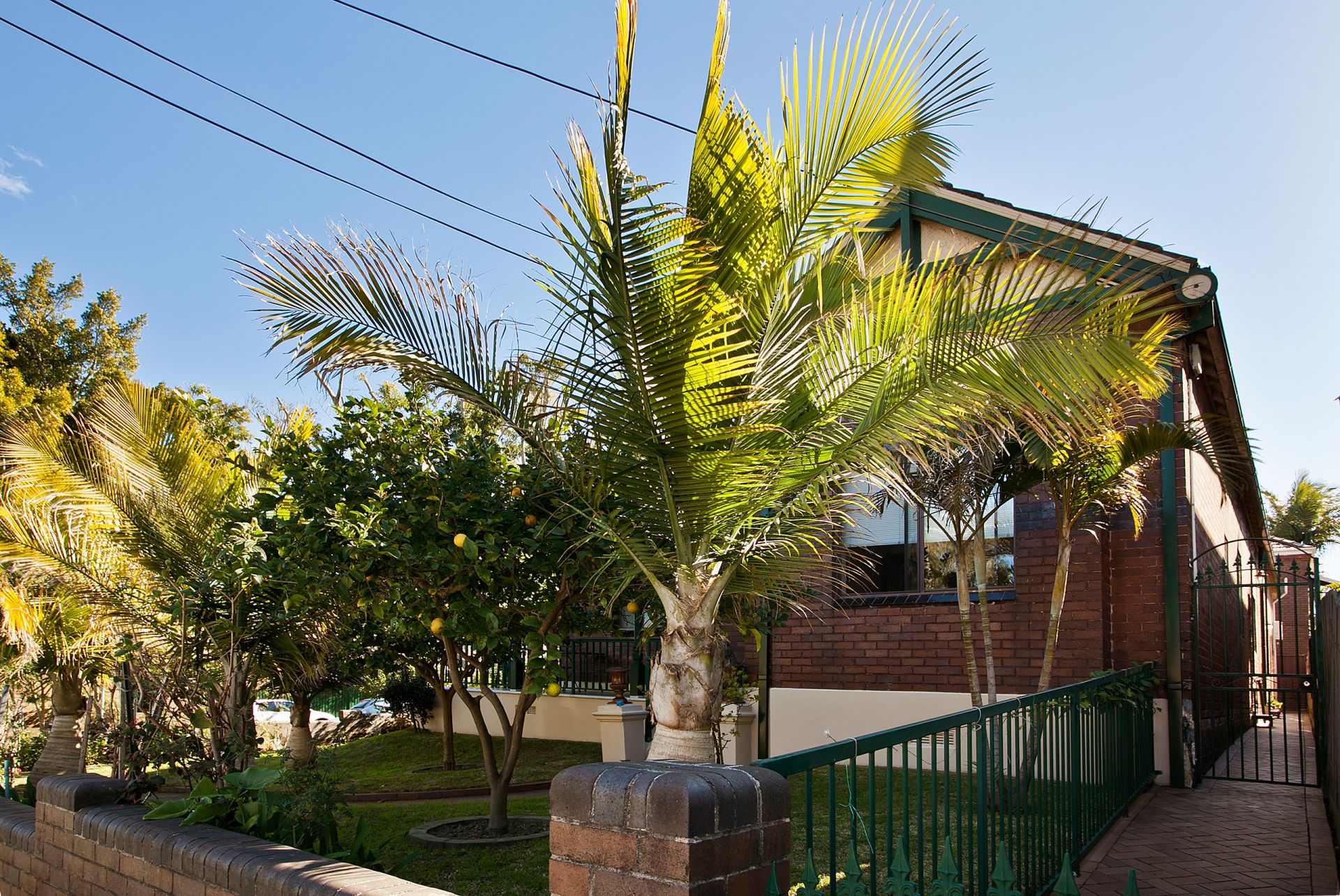 Real Estate For Lease 1/201 Wardell Road Dulwich Hill , NSW