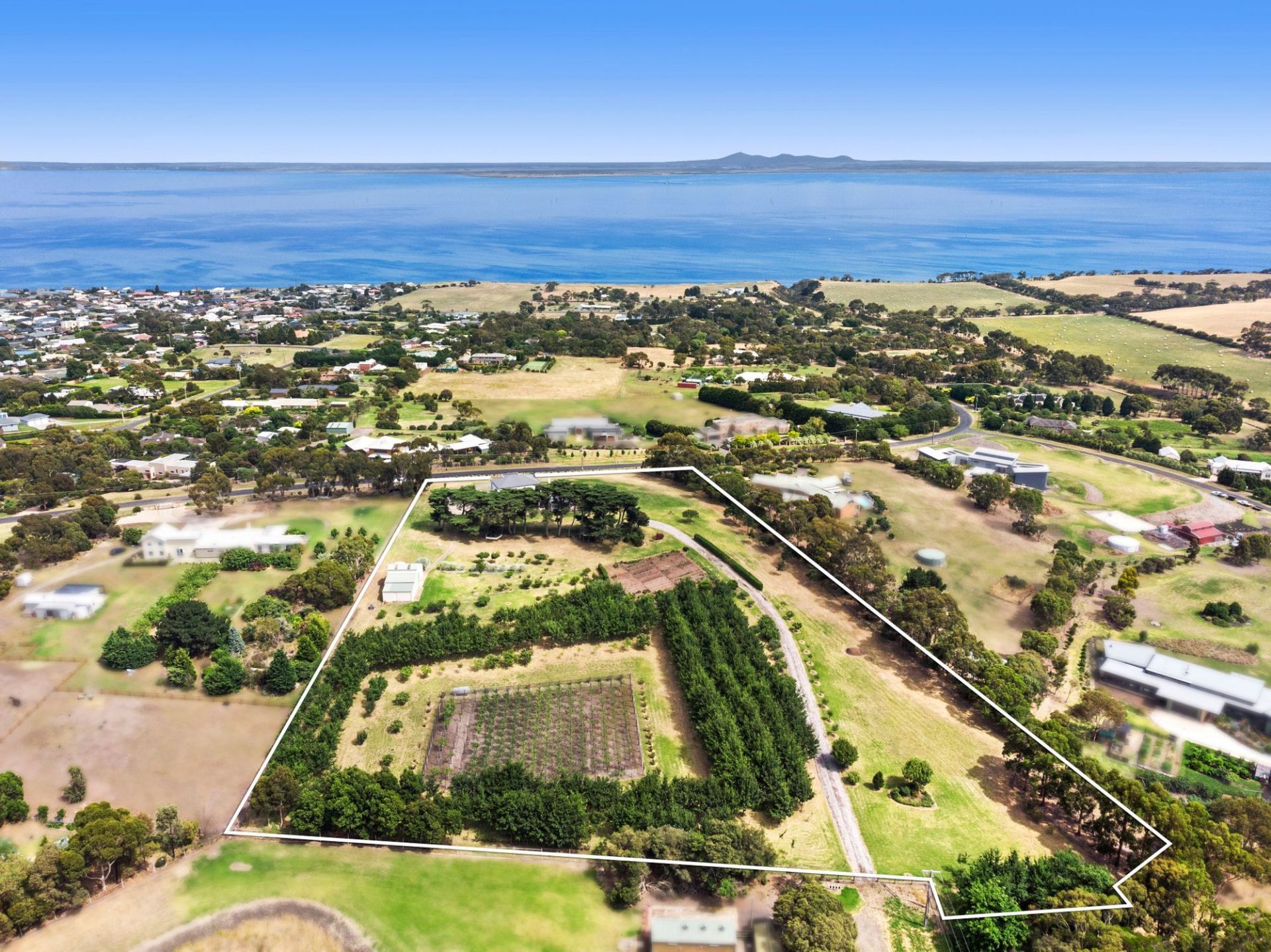 Bellarine Property