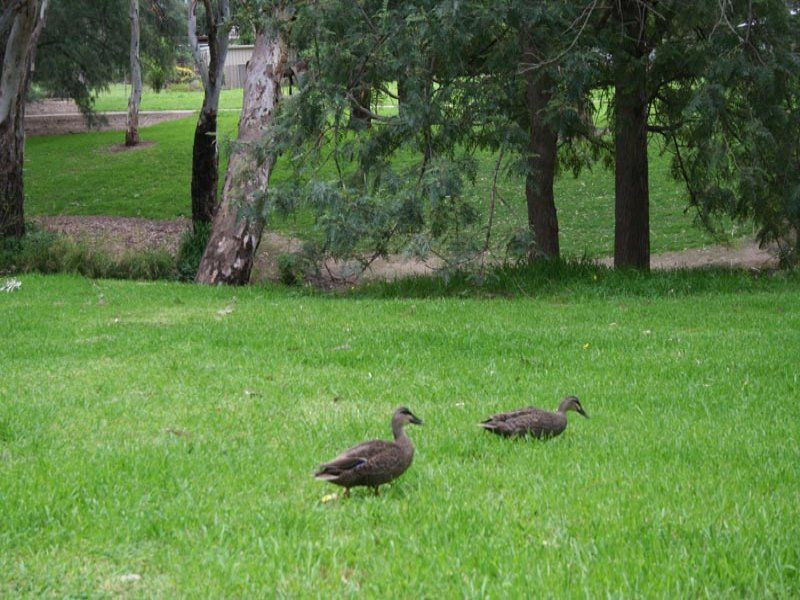 Real Estate For Sale Paradise , SA