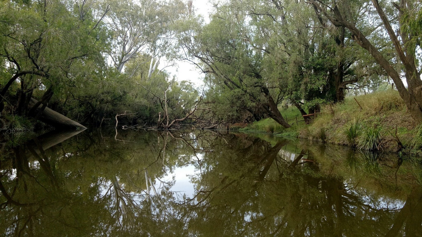 Real Estate For Sale Lot 74 Middle Road Purga , QLD