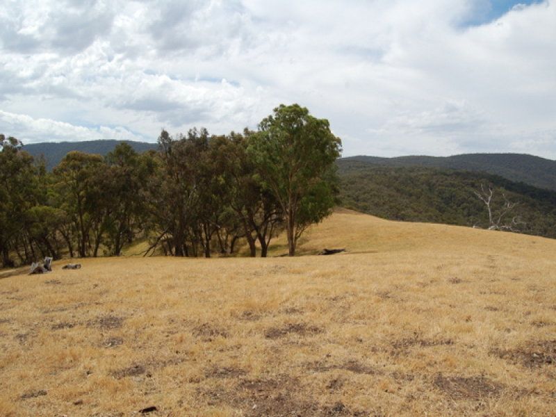 Real Estate For Sale 360 McNally's Road Strath Creek , VIC